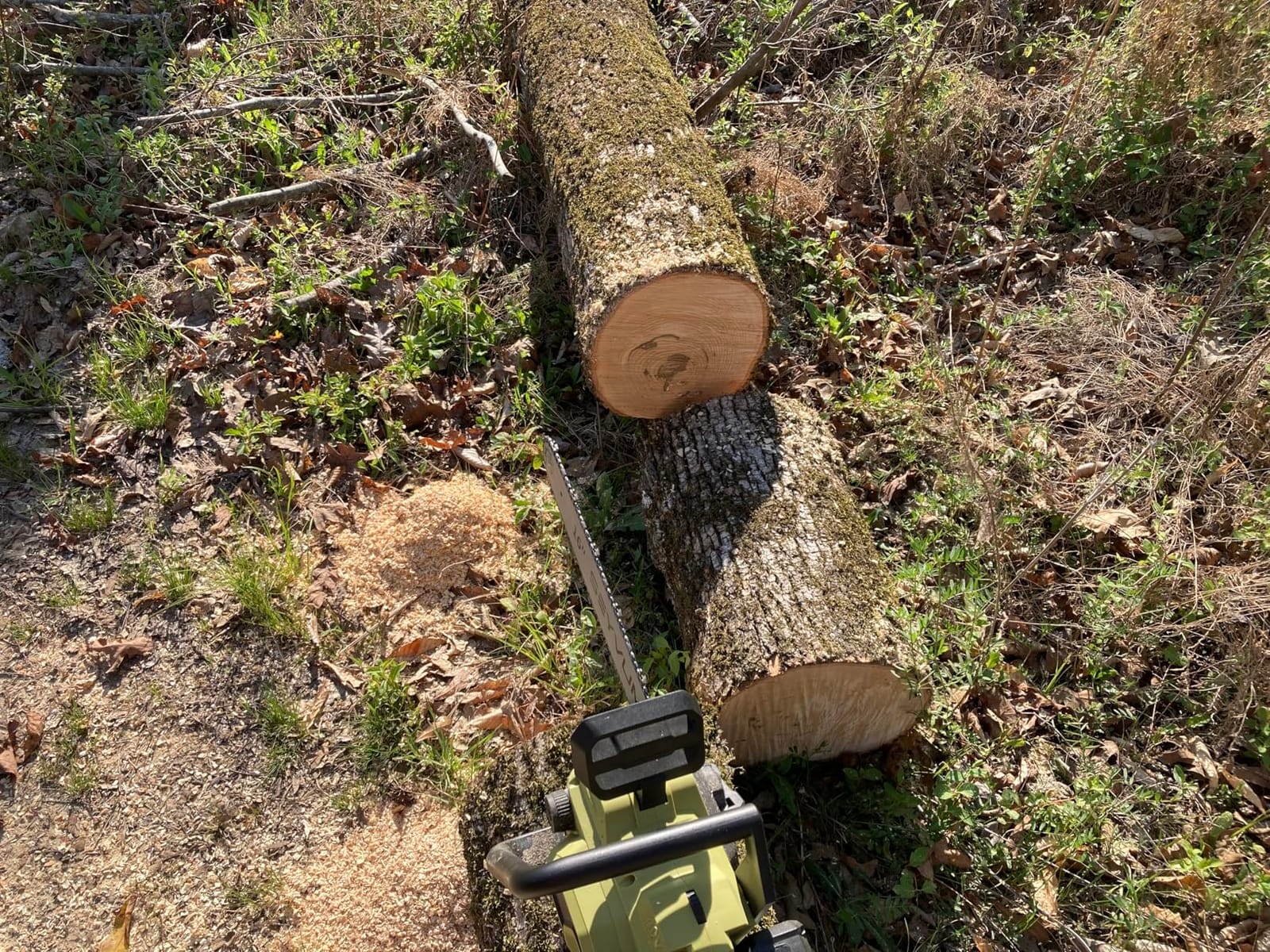 SEYVUM 40V Cordless Chainsaw 16 In with 2x4.0Ah Battery, Tool-free Chain Tension customer photo 2