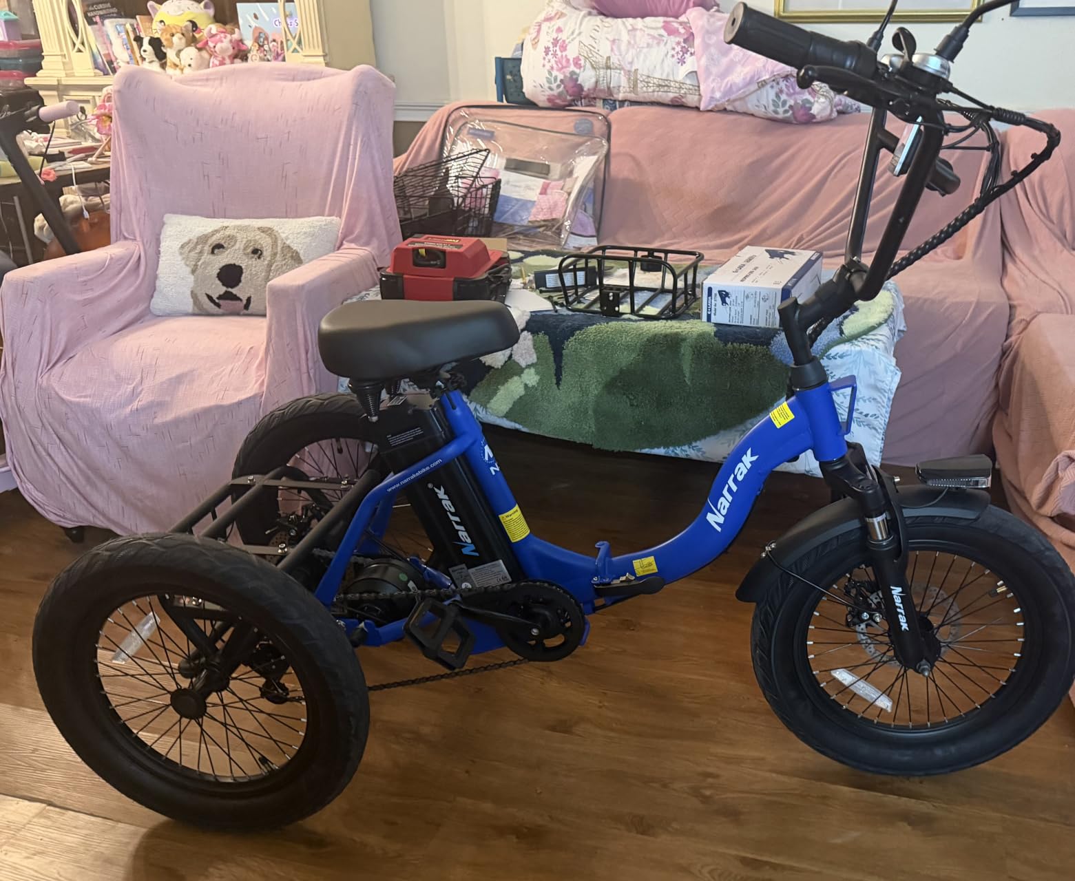 Electric Tricycle for Adults,18