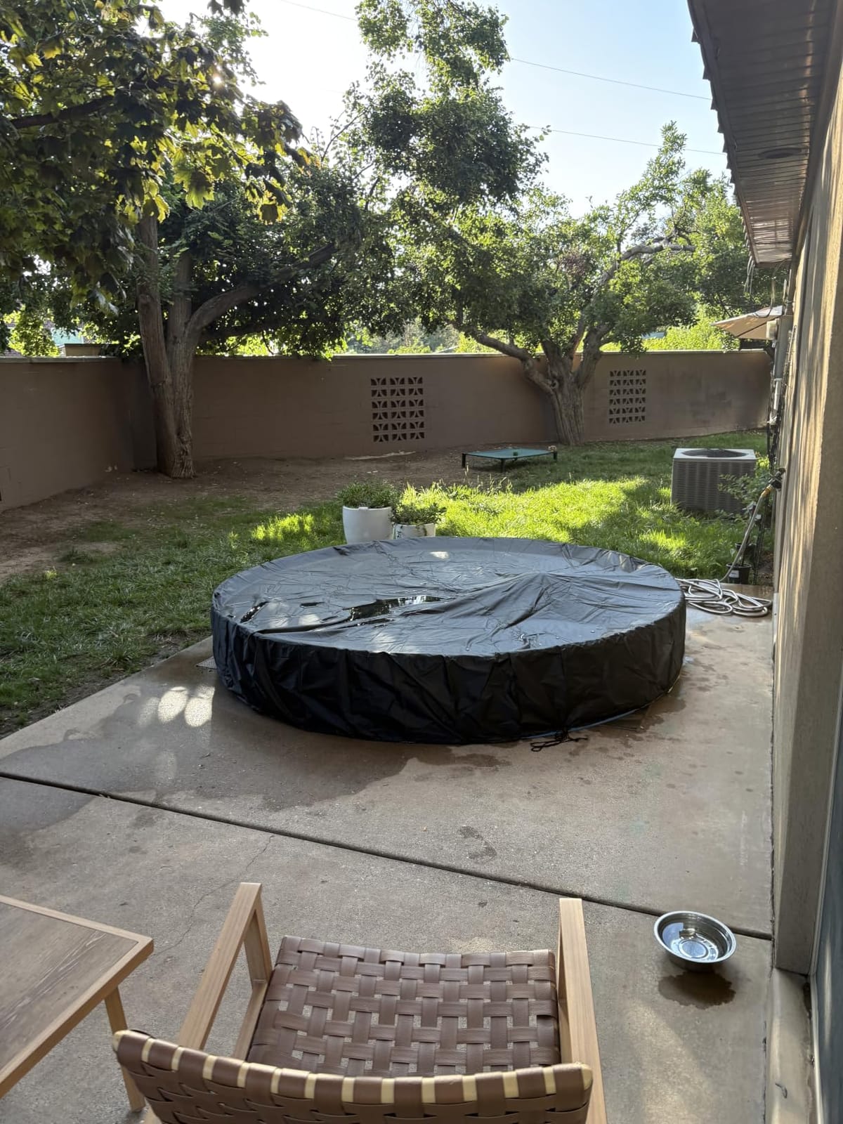 Extra Large Foldable Dog Pool for Giant Dogs, 120
