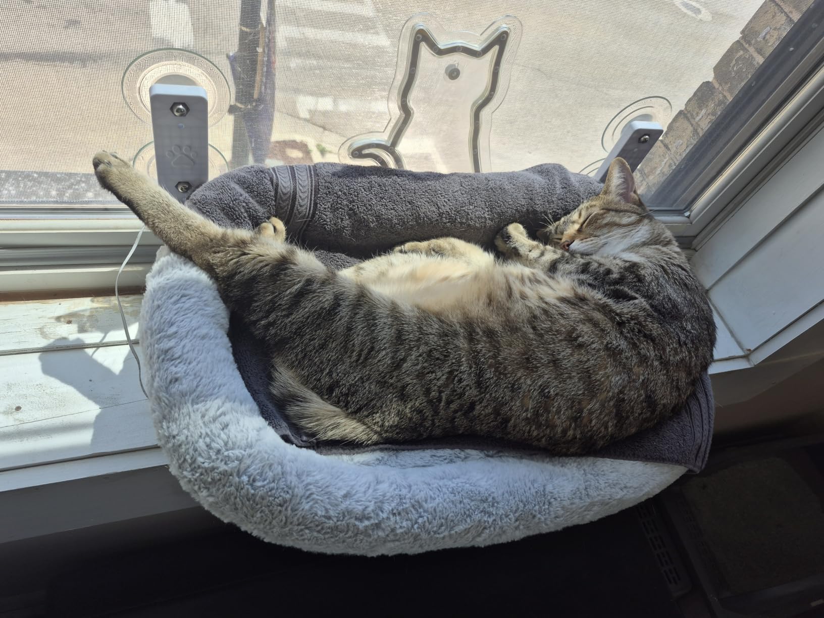 AMOSIJOY Foldable Cat Window Perch with Cloud-Soft Cushion Bed, XL White | Fluffy Faux Fur Cuddler, Machine Washable, Cordless Cat Hammock Bed with Metal Frame and 4 Strong Suction for Large Cats customer photo 2