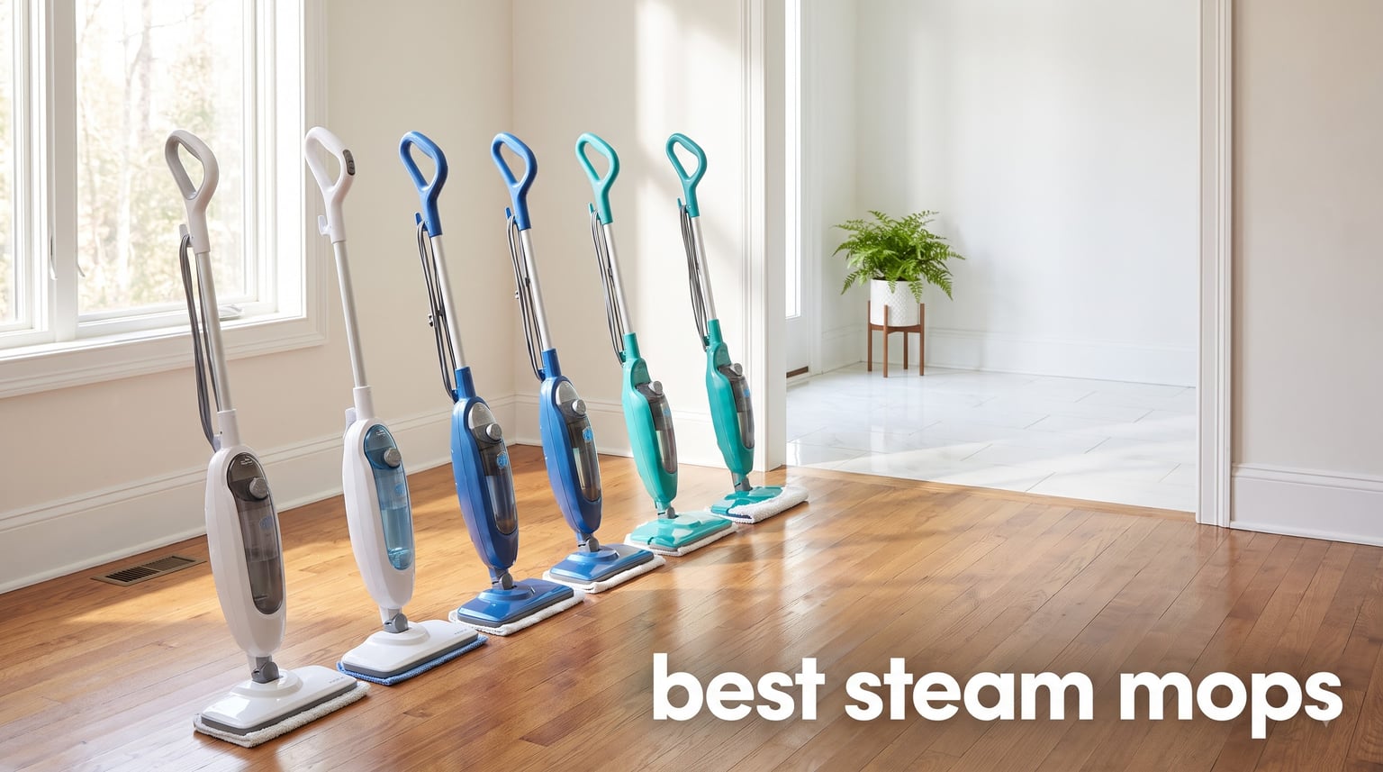 best steam mops