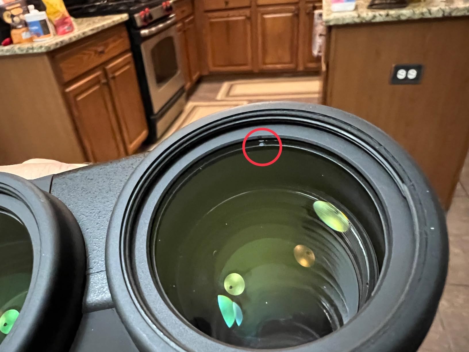 Canon 10x42 L is WP Image Stabilized Binoculars customer photo 2