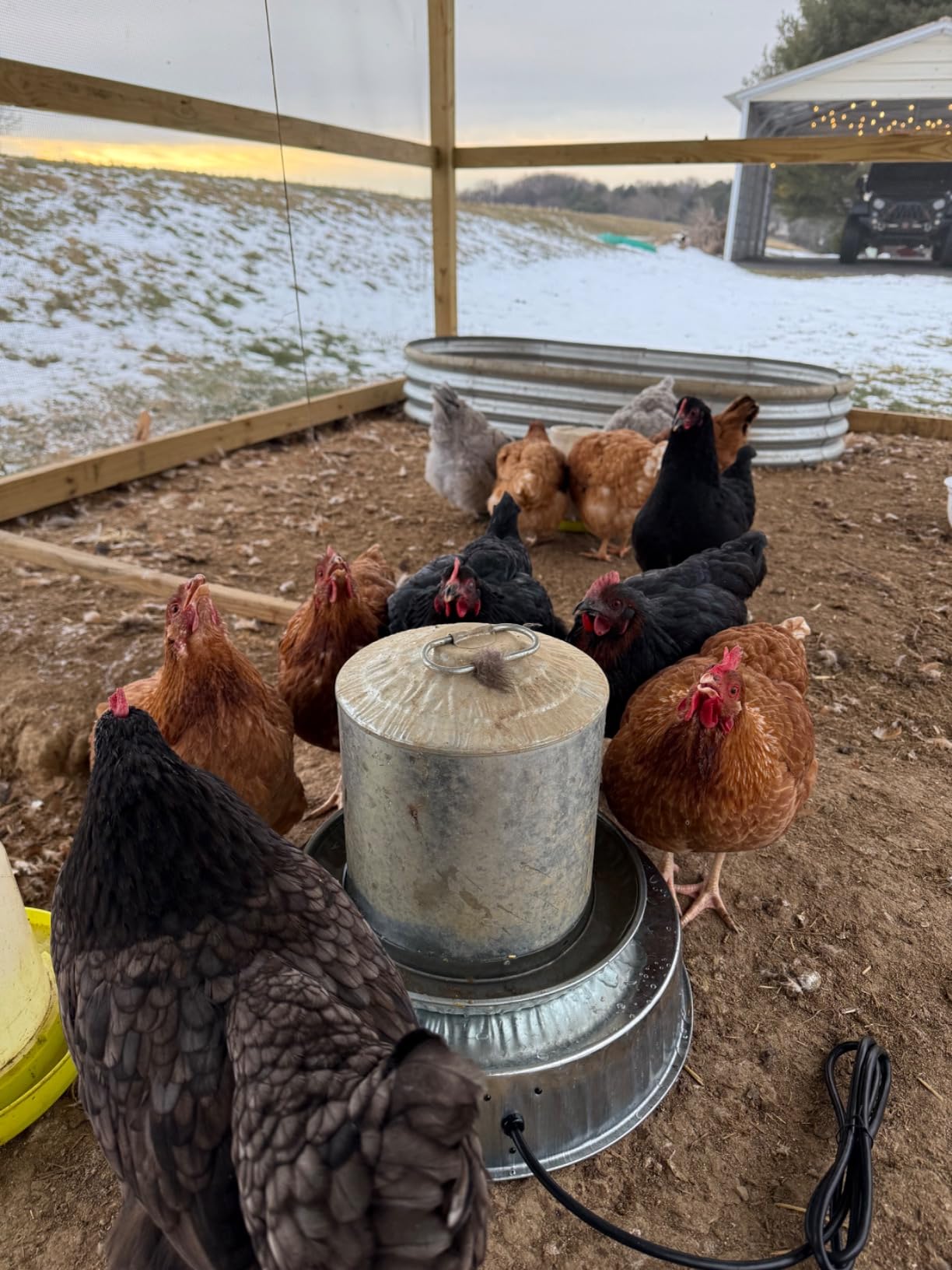 Farm Innovators HP-125 Heated Base for Metal Poultry Founts, 125W customer photo 2