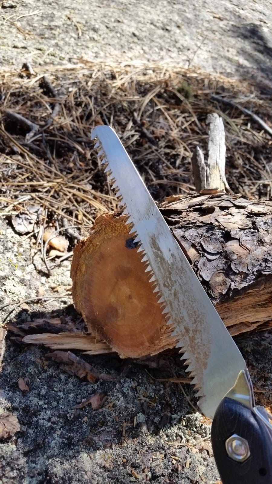 Coghlan's Folding Hand Saw | Lightweight & Durable Wood Saw for Camping, Backpacking, Survival, and Tree Pruning customer photo 1