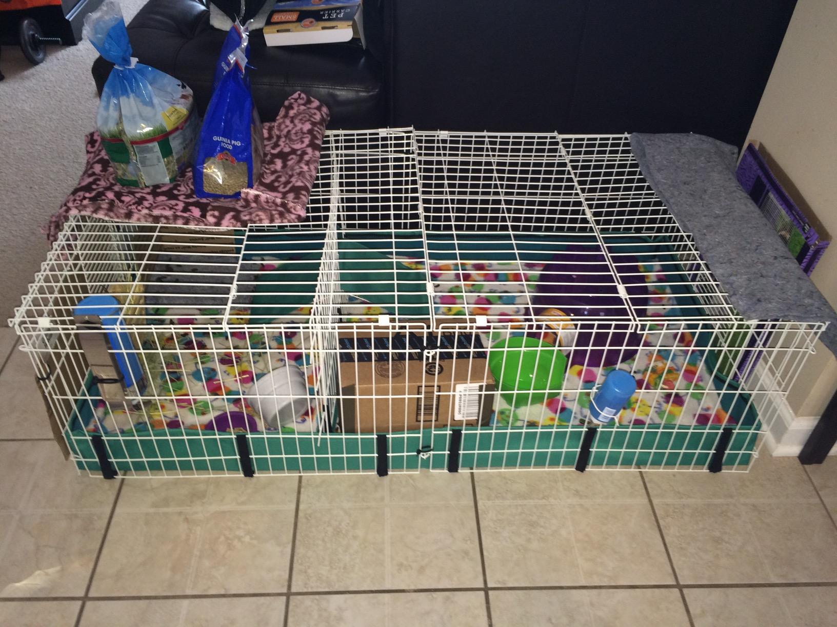 MidWest Homes for Pets Guinea Habitat Plus Cage, Includes Divider Panel and Hinged Top, Washable PVC Canvas Bottom, Expandable Small Animal Cage for Guinea Pigs, 171GHP customer photo 1