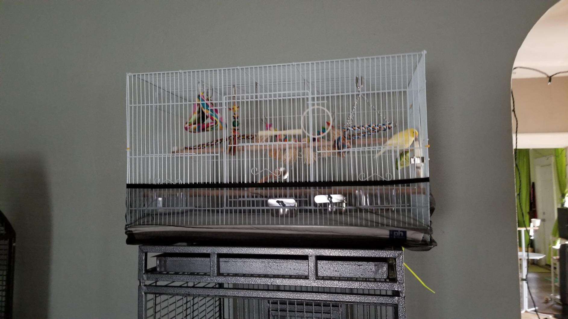 Prevue Pet Products Flight Cage Metal Steel Bird Crate, Multi-Bird Home Stackable Cage for Birds, Home Crate for Extra-Small Pet Parakeets, Finches, and More, White customer photo 2