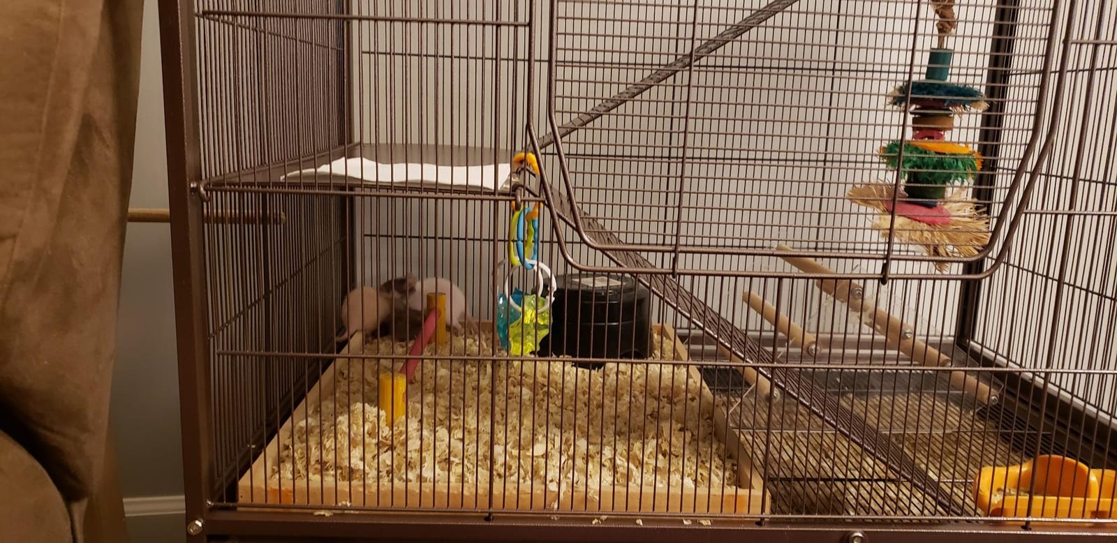 Prevue Pet Products Rolling Small Animal Cage Chew-Proof Critter House customer photo 1