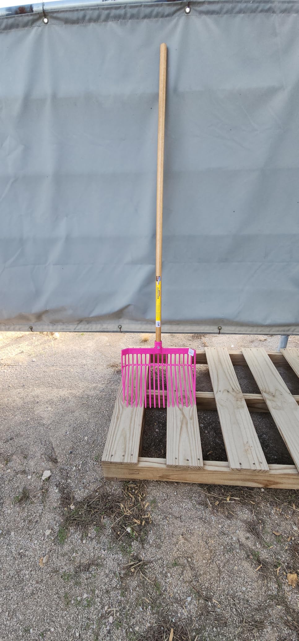 Little Giant® DuraFork Pitch Fork | Manure Fork | Polycarbonate Stable Fork with Angled Tines | Hot Pink customer photo 1