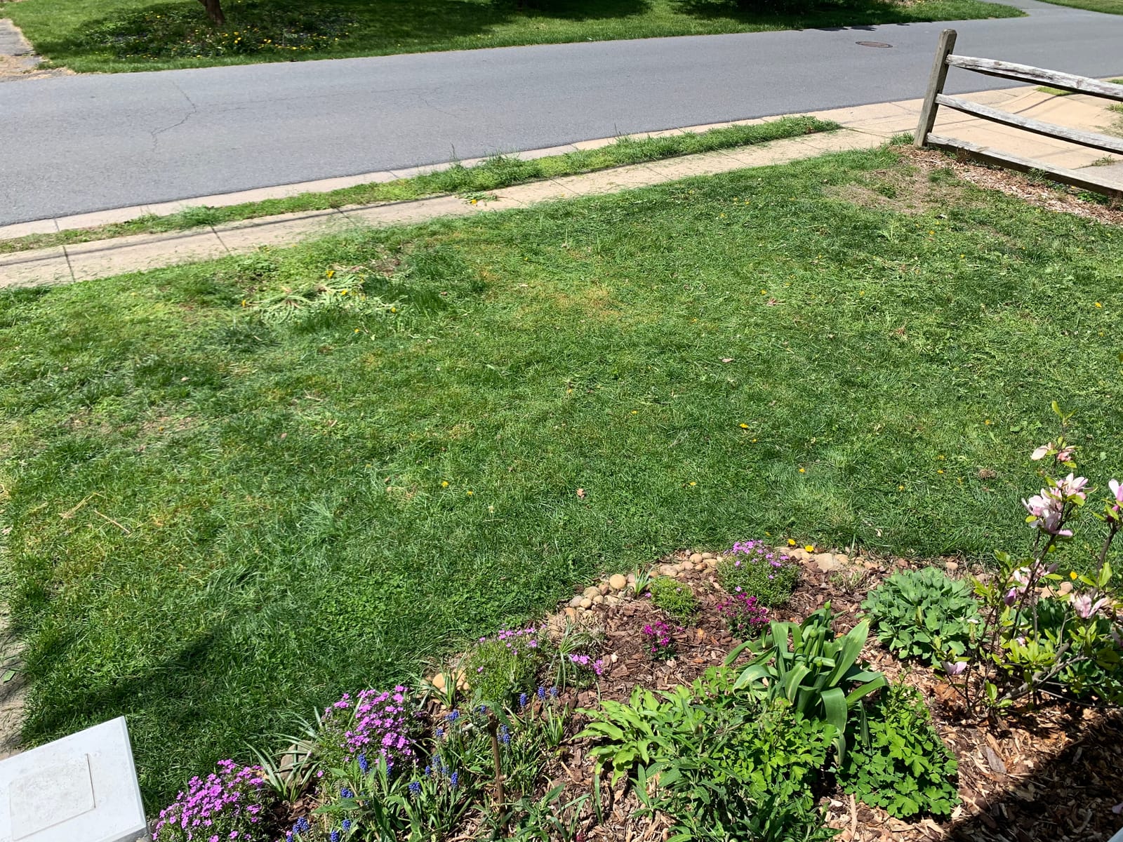 Scotts 304-14S 14-Inch 5-Blade Push Reel Lawn Mower, Green customer photo 2