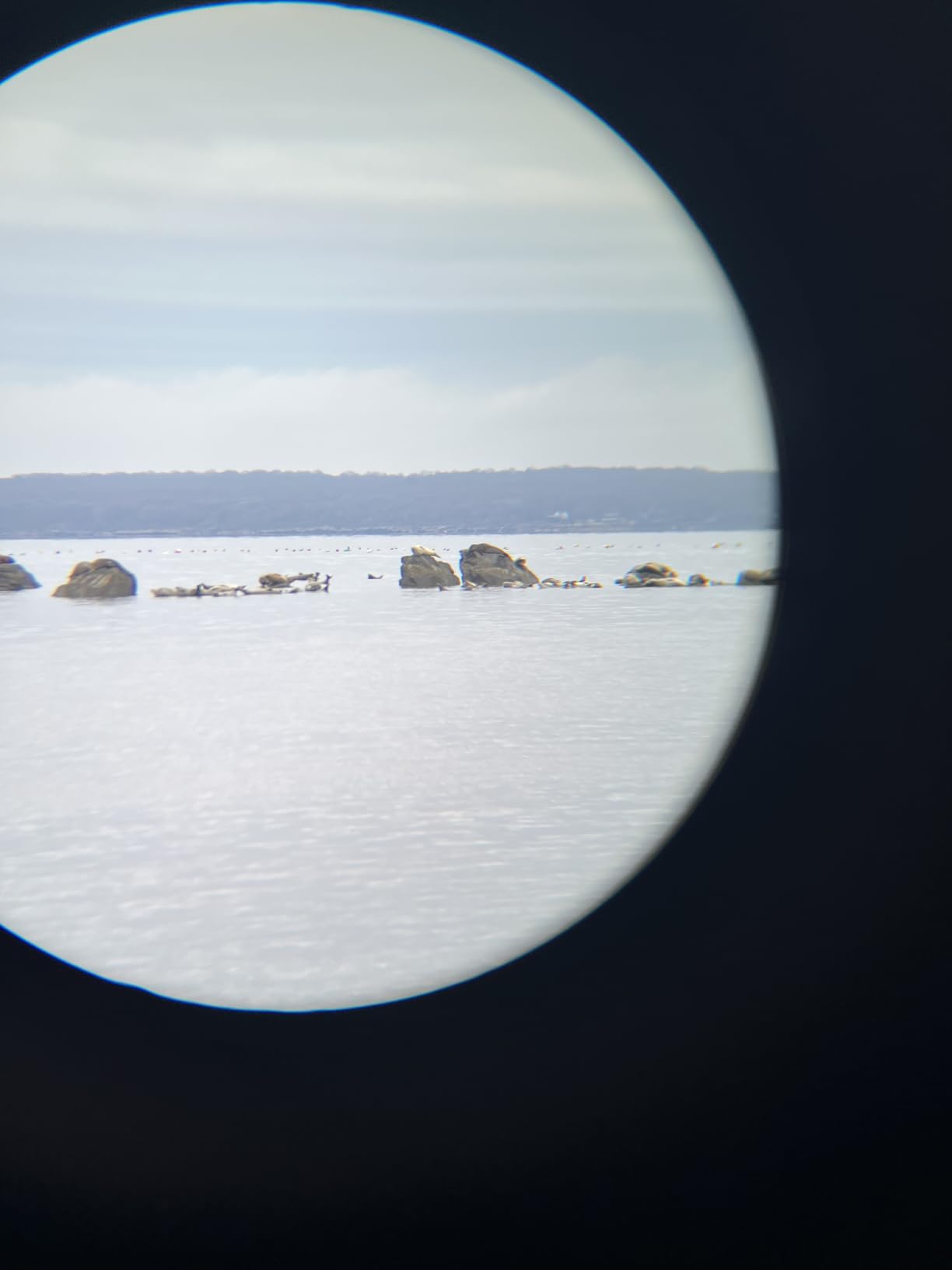 Vortex Solo Monocular 10x25 customer photo 2