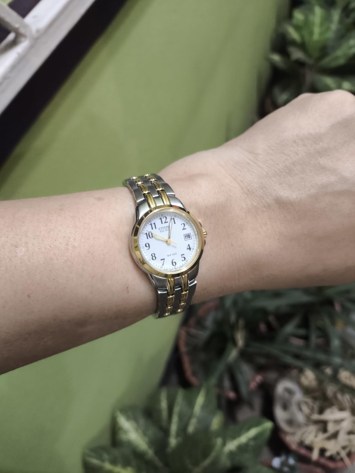 Citizen Women's Eco-Drive Classic 26mm Stainless Steel Watch (EW1544-53A) customer photo 2