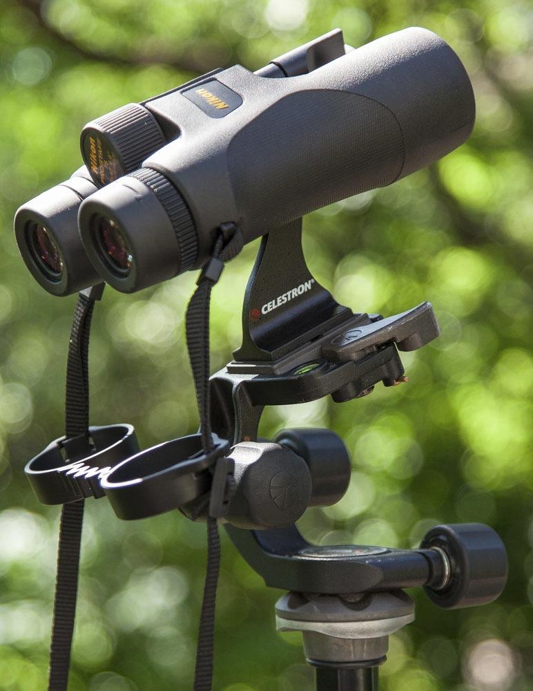 Celestron Binocular Tripod Adapter with Standard 1/4