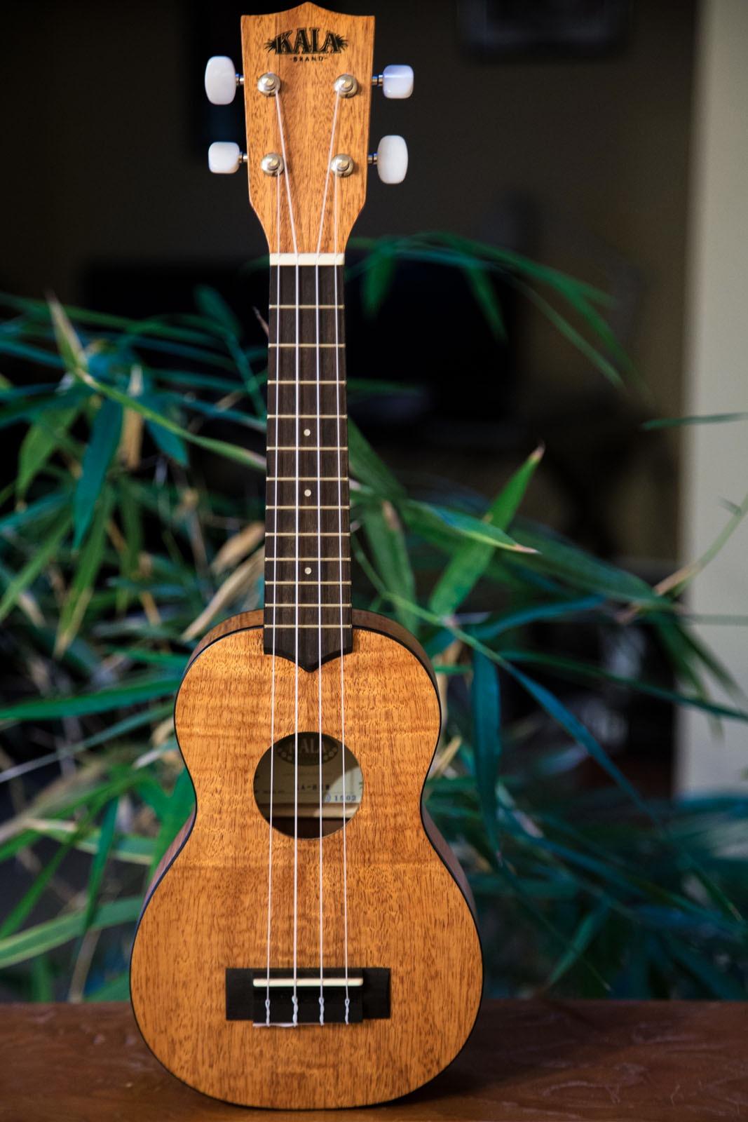 Kala KA-TEM Exotic Mahogany Tenor Ukulele customer photo 1