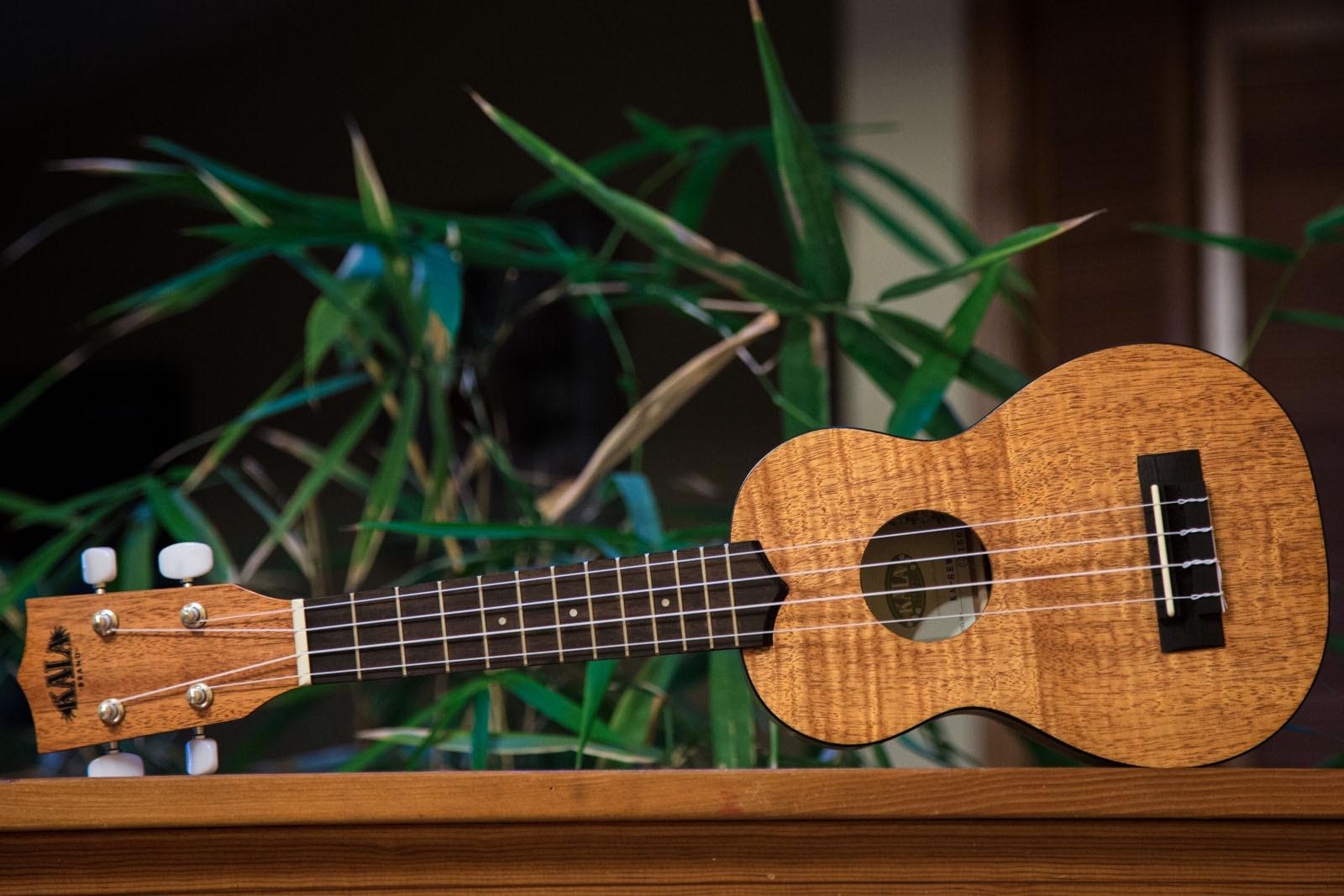 Kala KA-TEM Exotic Mahogany Tenor Ukulele customer photo 2