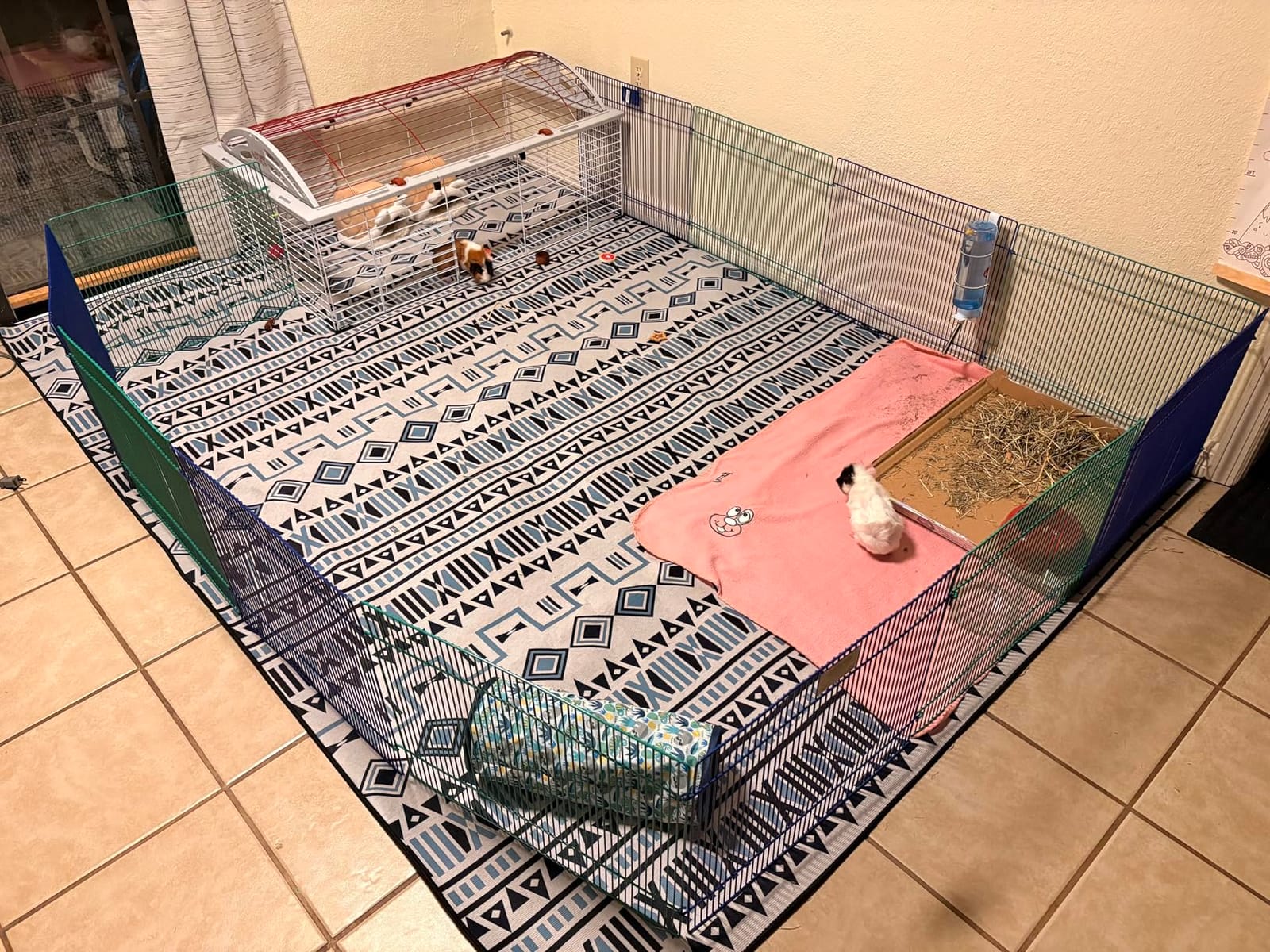 MidWest Homes for Pets 100-29 Ferret Nation Small Animal Exercise Pen customer photo 1