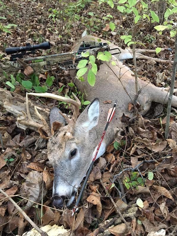 Bloodsport Crossbow Bolts customer photo 2