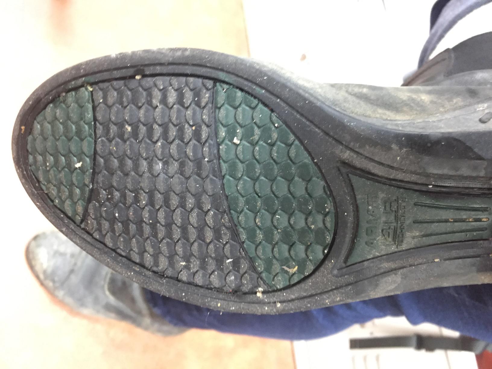ARIAT Scout Zip Paddock customer photo 1