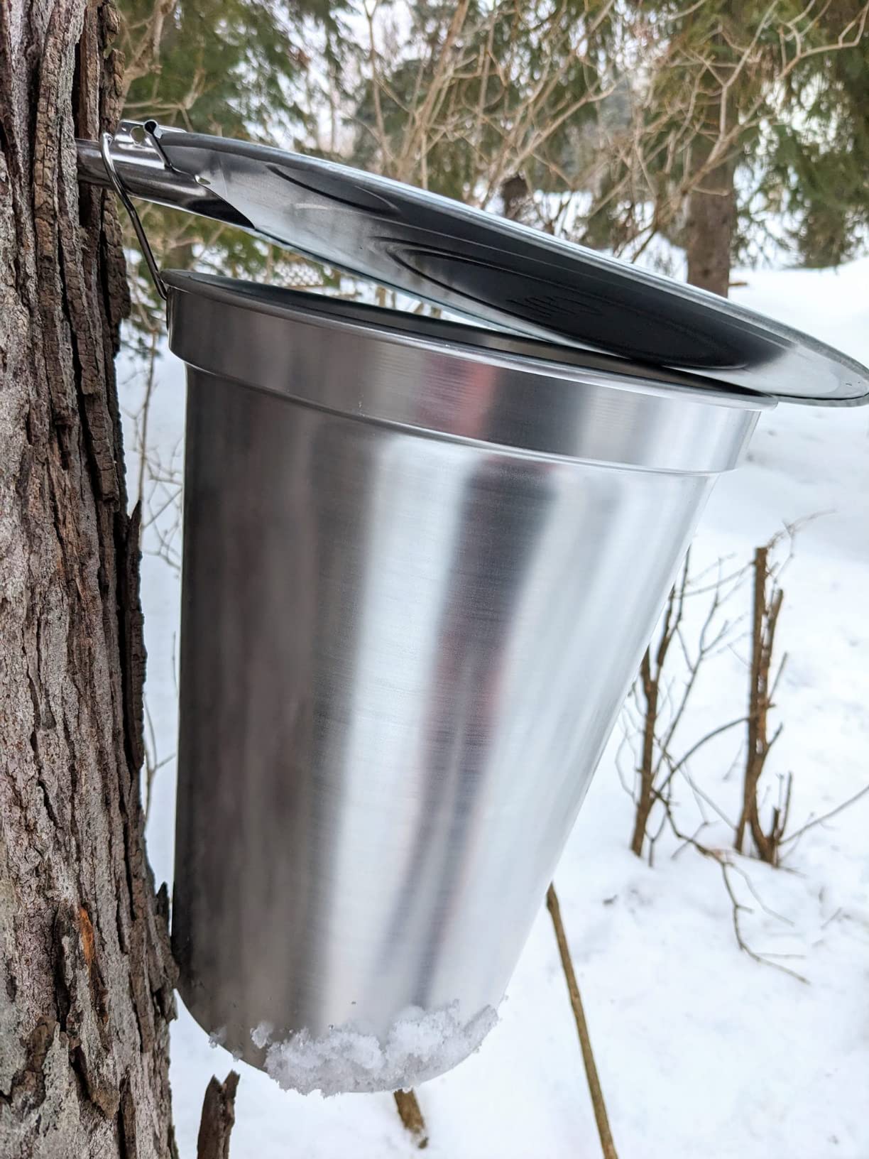 TAP MY TREES 2 gallon ALU Sap Bucket customer photo 1