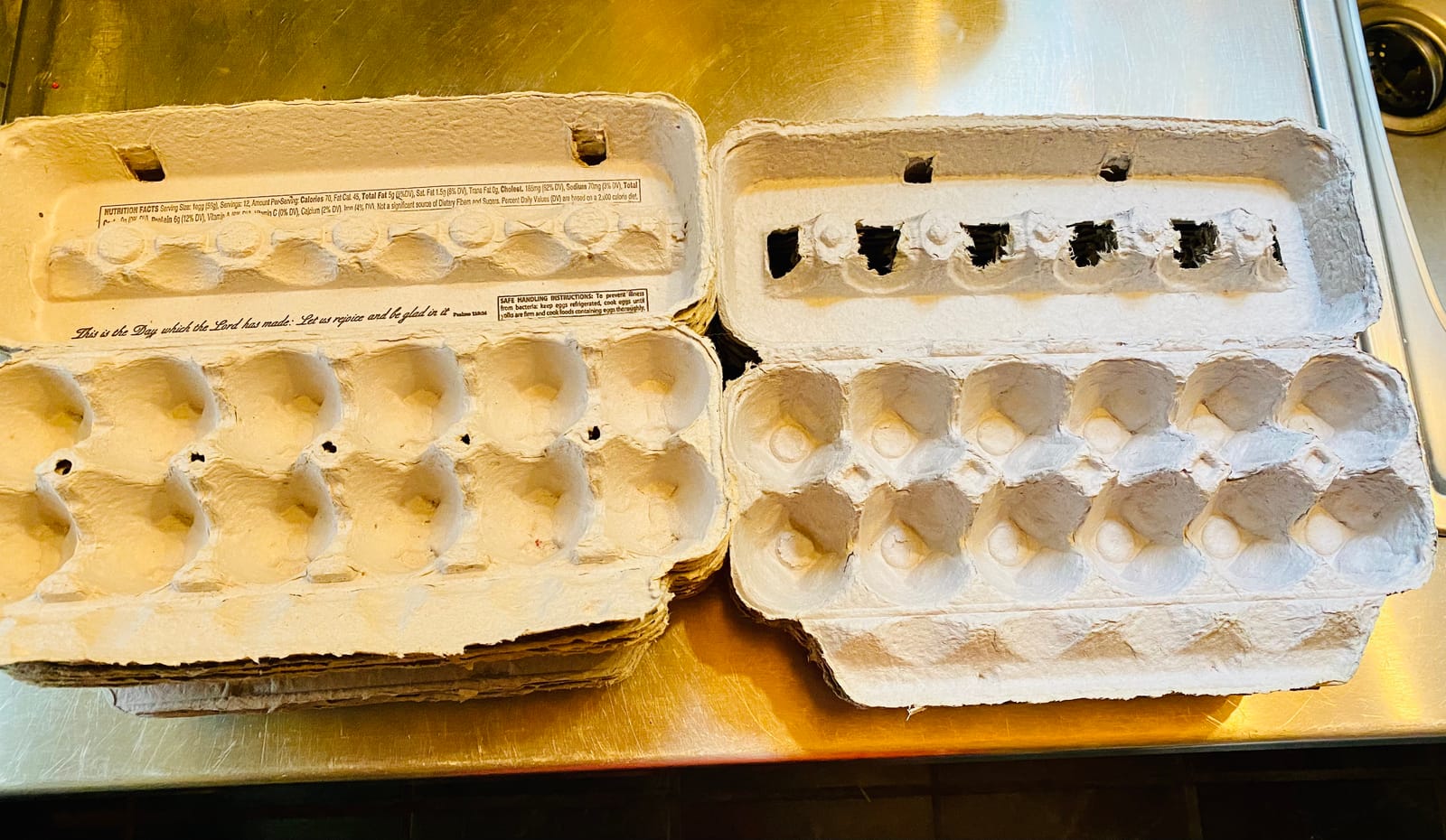 FarmTek Jumbo Egg Cartons - 200 Count, Secure XL & Duck Egg Storage customer photo 1