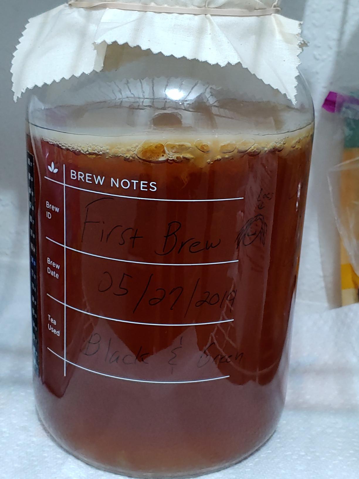 Deluxe Organic Kombucha Starter Kit - Six Swing Top Bottles, Stainless Steel Funnel, Custom Bottle Brush & Our Original Brewing Kit - The Kombucha Shop customer photo 2