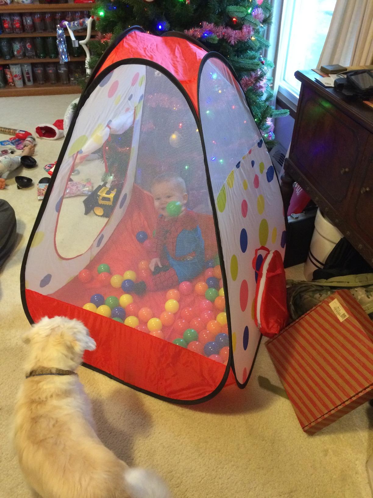 Kiddzery Toddler Ball Pit, Baby Ball Pit, Pop Up Play Tent for Kids, 39 x 39 x 39 Inches, Indoor Outdoor Playhouse, Foldable Portable Activity Tent, Easy Setup, Includes Carry Bag, Balls Not Included customer photo 2