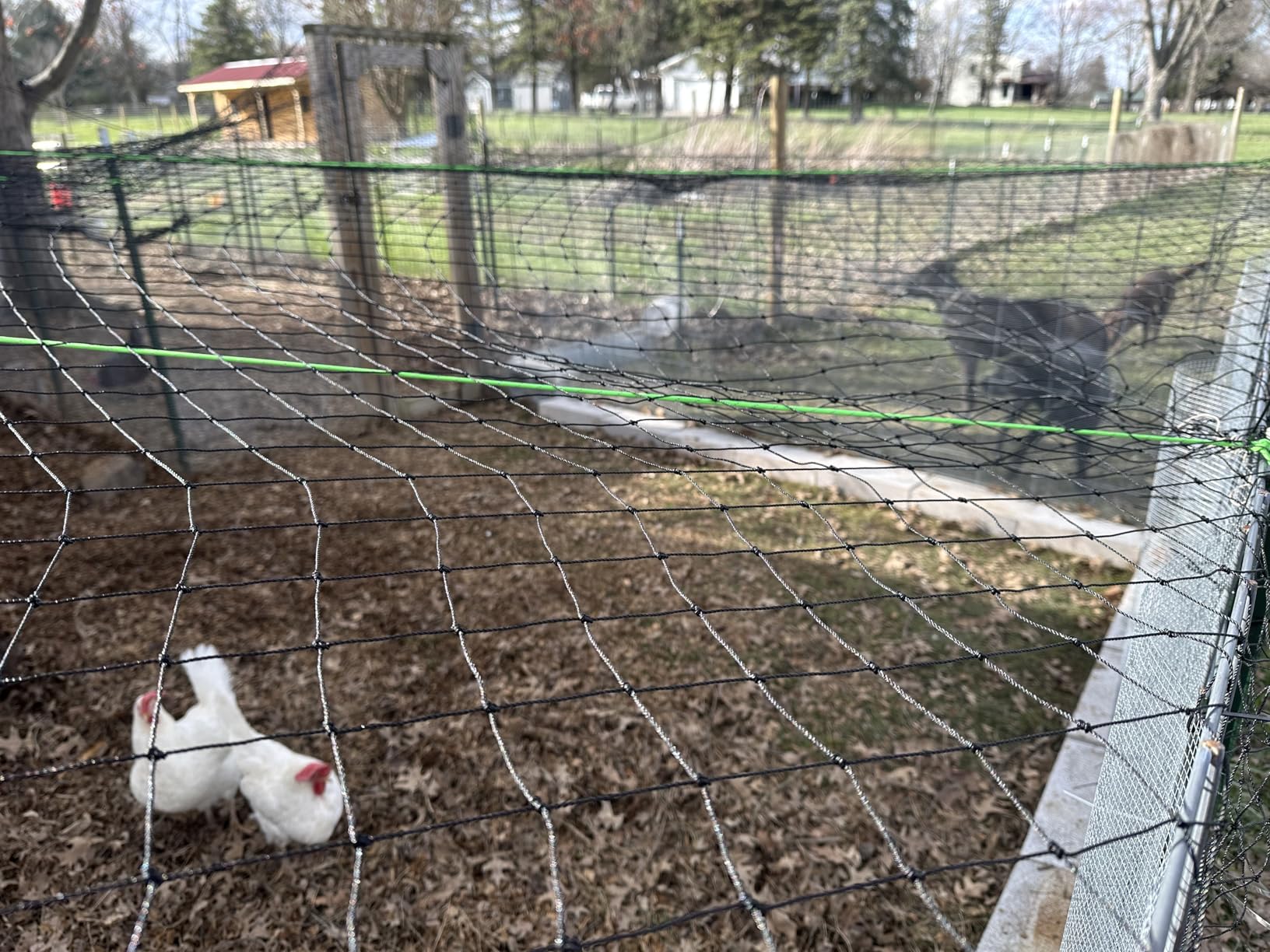Aviary Netting Heavy Knotted 2 inch Poultry Net (25 ft x 50 ft) customer photo 1
