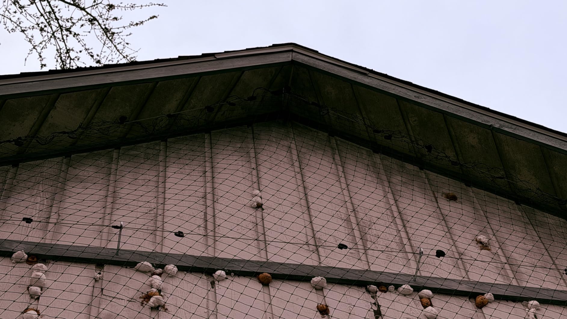 Aviary Netting Heavy Knotted 2 inch Poultry Net (25 ft x 50 ft) customer photo 2