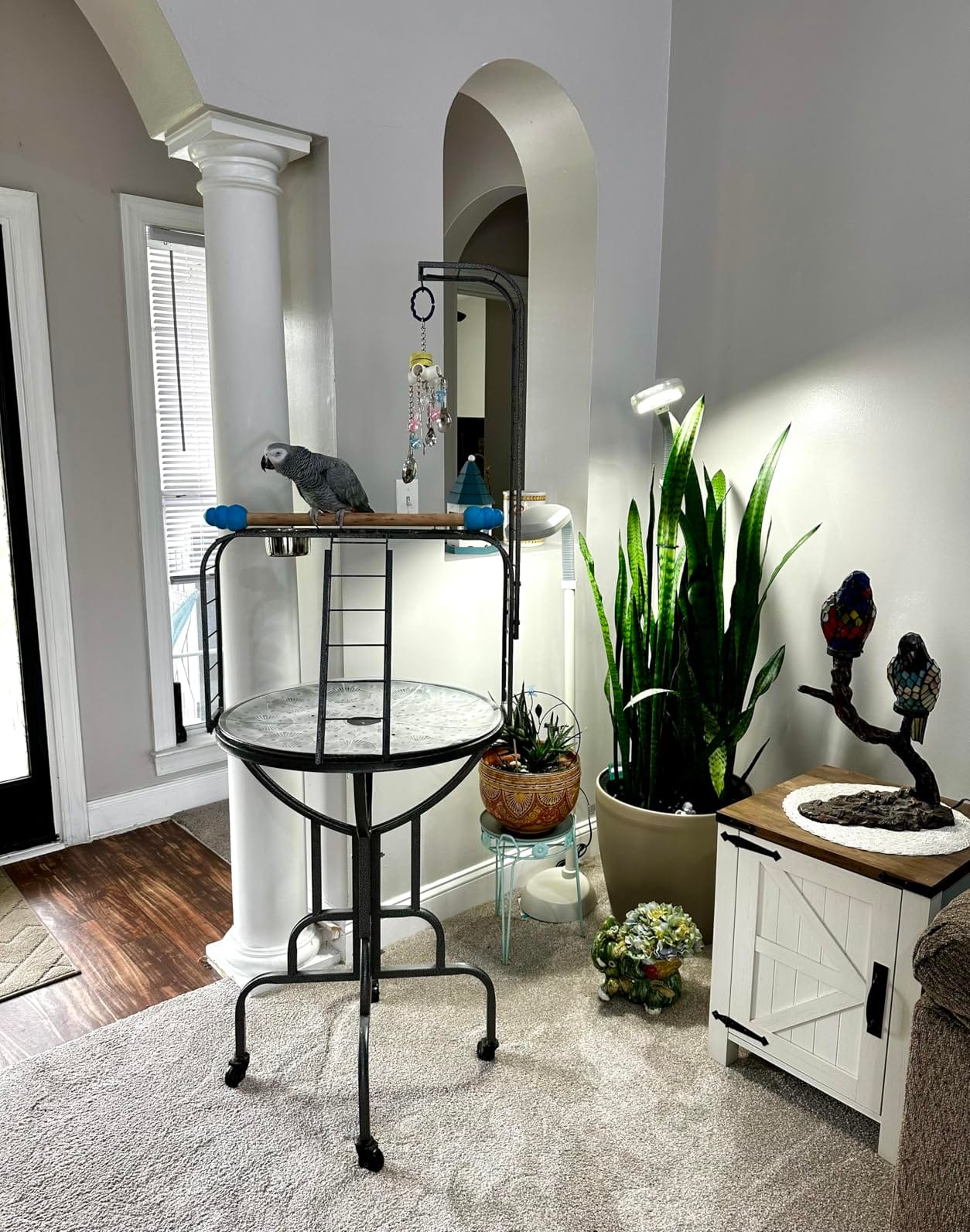 Elegant and Strong Durable Wrought Iron Parrot Bird Play Gym Ground Rolling Stand with Metal Climbing Play Ladder Easy Clean Removable Metal Pan Toy Hook Included customer photo 1