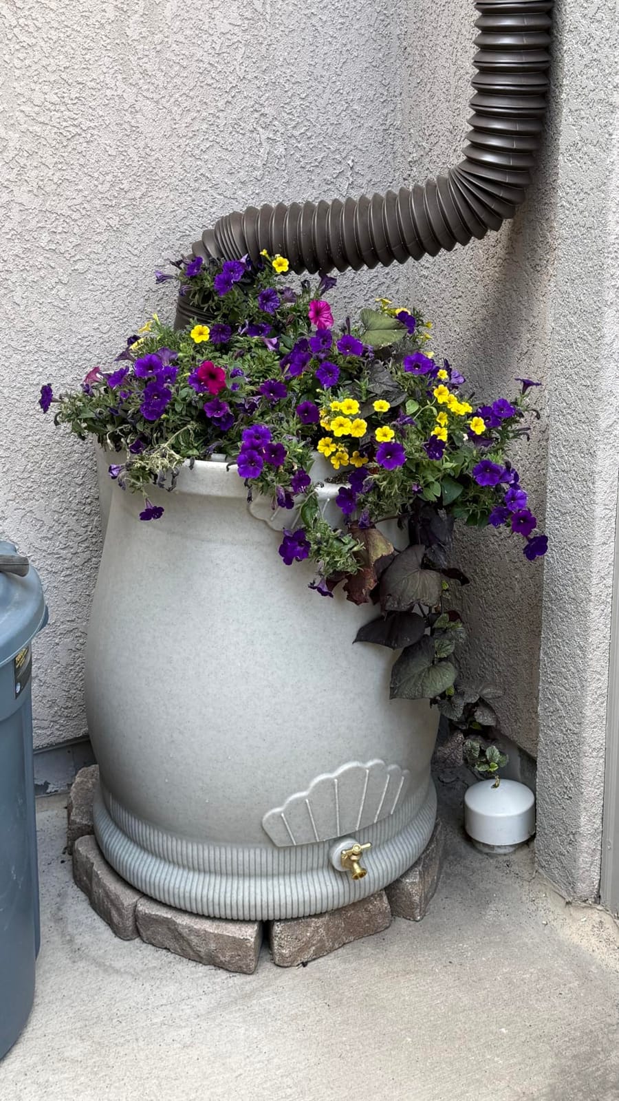 Good Ideas Rain Wizard Urn Shaped Water Collection Barrel, 50 Gallon customer photo 1