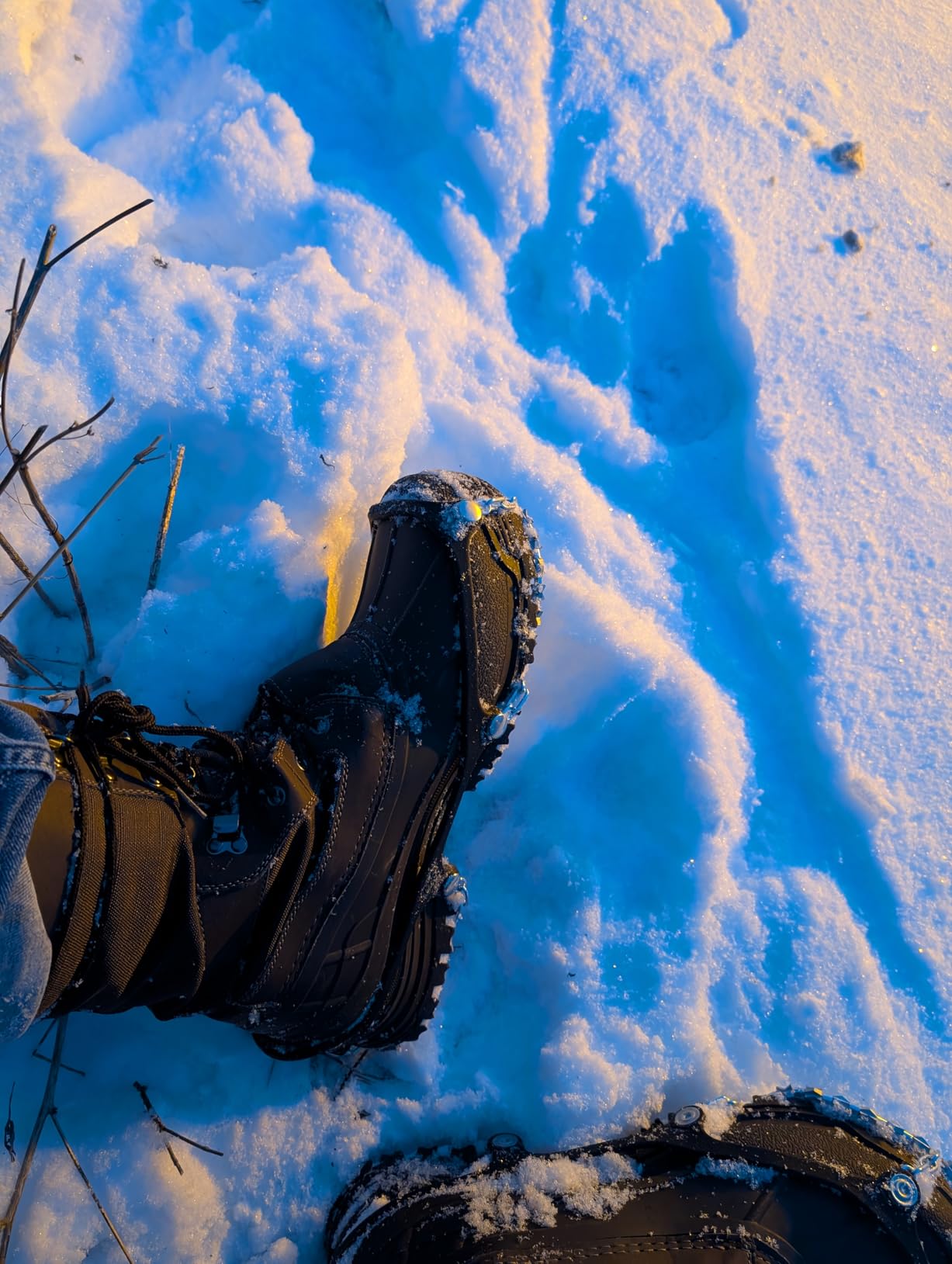 Yaktrax Diamond Grip - Full-Foot Traction on Ice, Snow, & Multi-Terrain Surfaces - Swiveling Diamond Bead Grip Points - Cold-Resistant Easy On/Off Elastic Upper Band customer photo 1