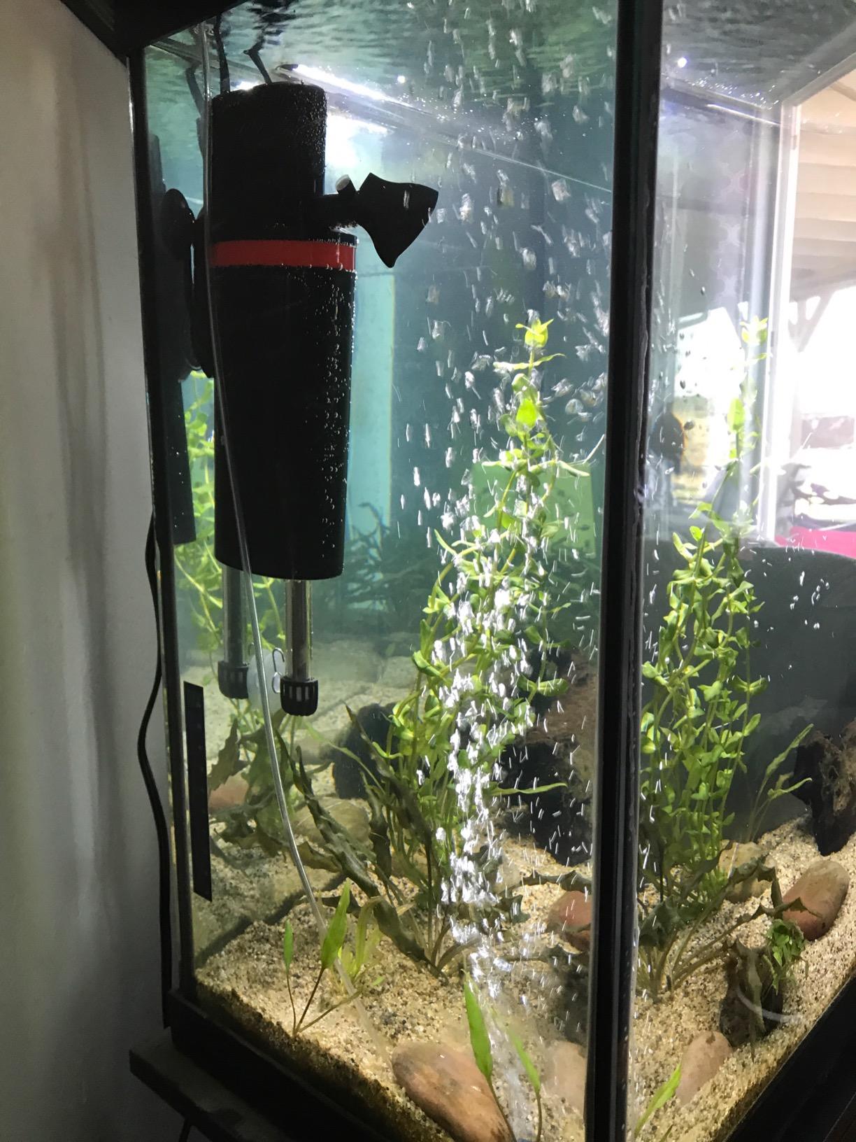Marineland Magnum 290 GPH Polishing Canister Aquarium Filter customer photo 2