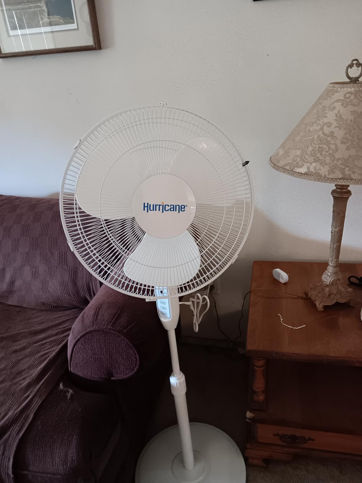 Hurricane Pro High-Velocity Oscillating Metal Stand Fan, 3 Speeds, 20in customer photo 2