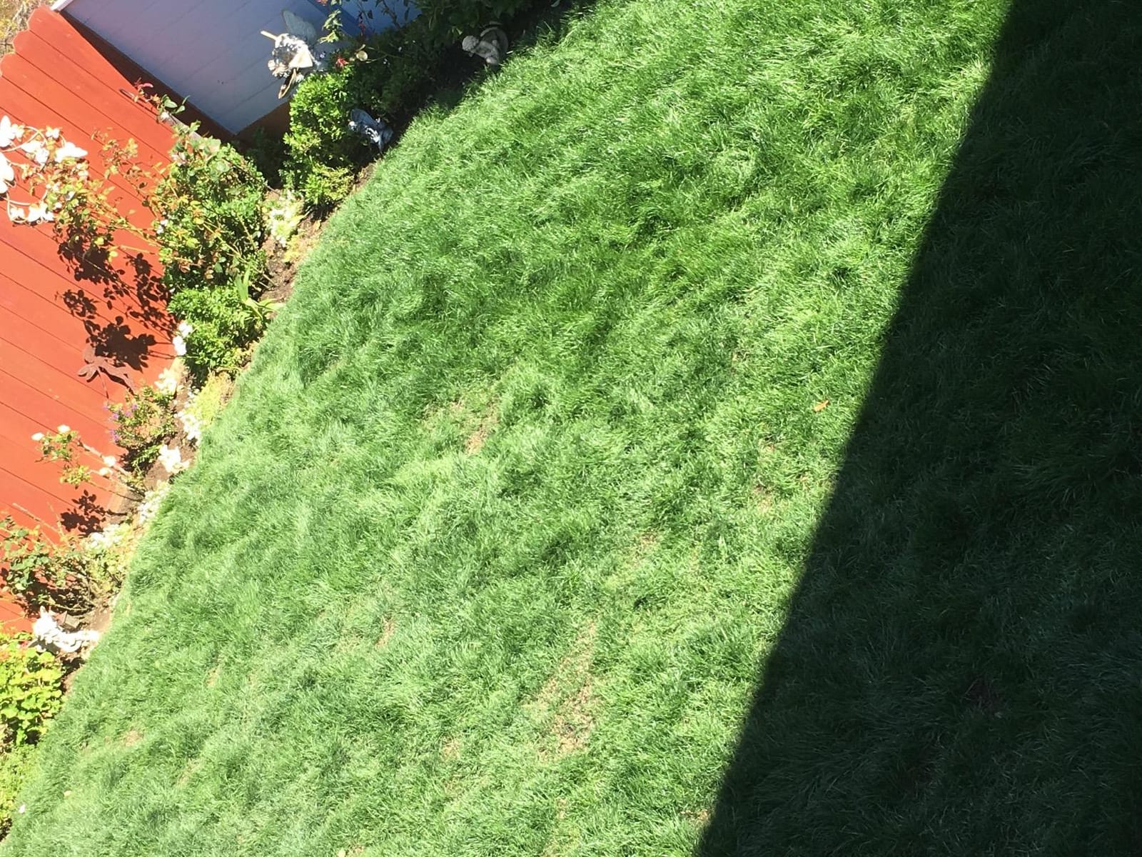 Soil Test Kit | Understand What Your Lawn or Garden Soil Needs, Not Sure What Fertilizer to Apply | Analysis Provides Complete Nutrient Analysis & Fertilizer Recommendation On Report customer photo 1