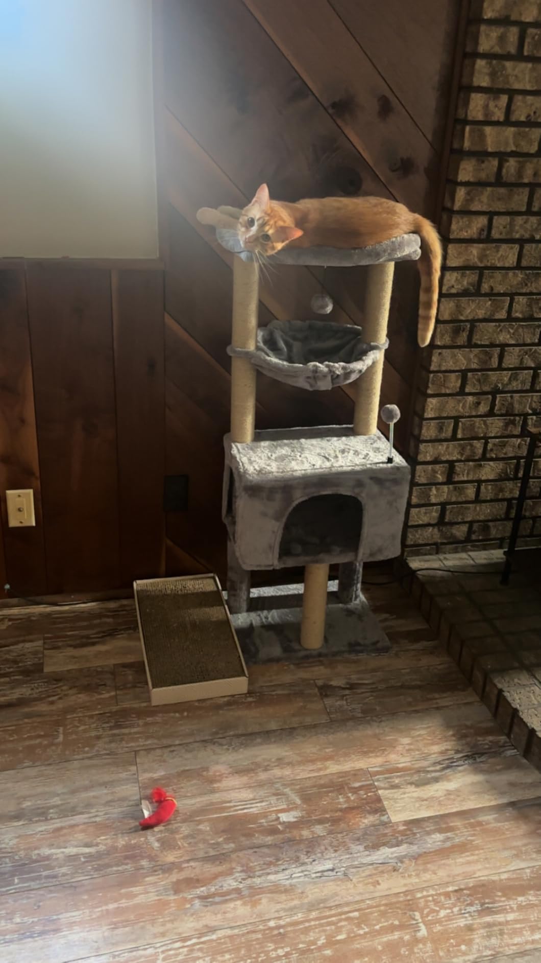 Roypet 32