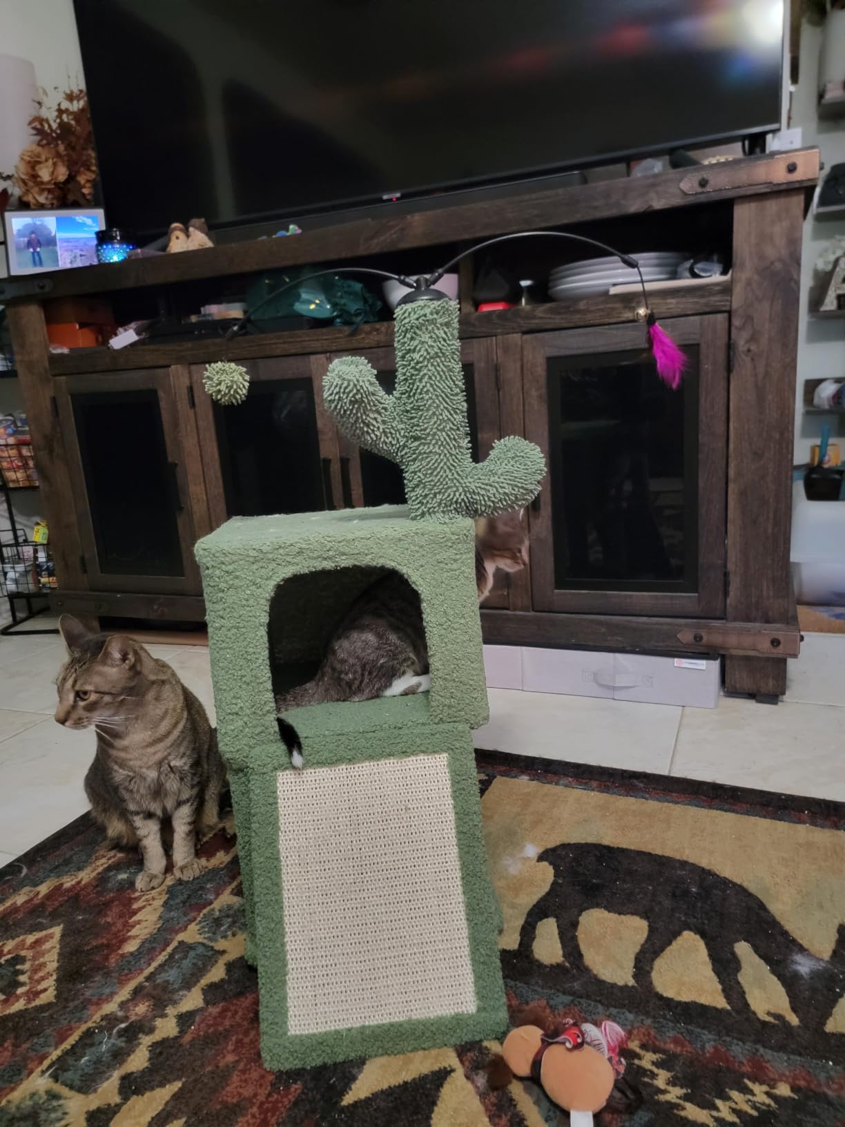 Roypet 32