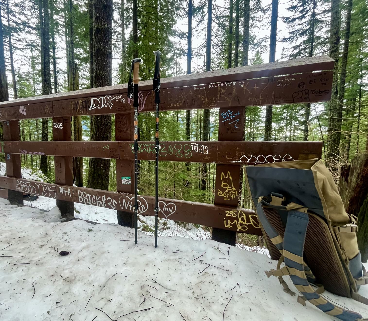 Cascade Mountain Tech Lightweight Aircraft-Grade Aluminum Trekking Poles with Extended Down Grip Plus Tip Kit customer photo 2