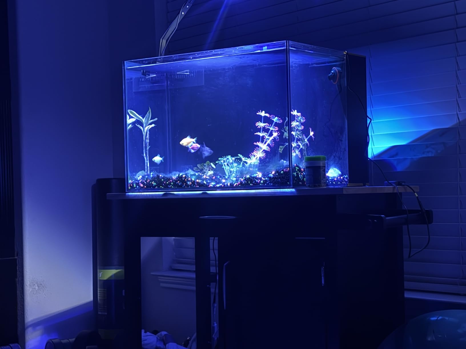LANDEN EzFlux 60 Rimless 26 Gallon Rear Filtration Tank, Pump Included customer photo 1