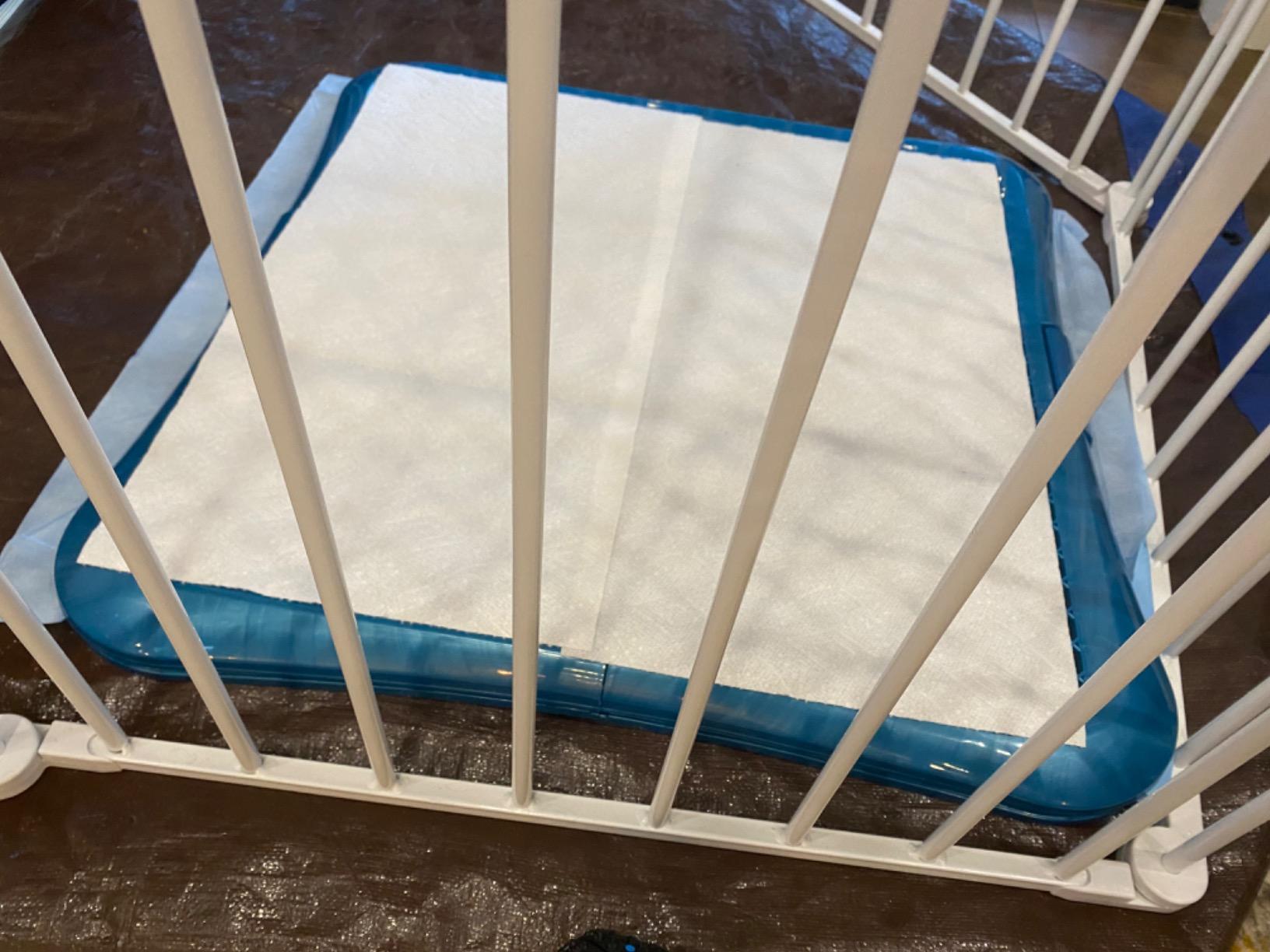 petphabet Training Pad Holder Floor Protection Dog Pad Holder Mesh Training Tray (L-24