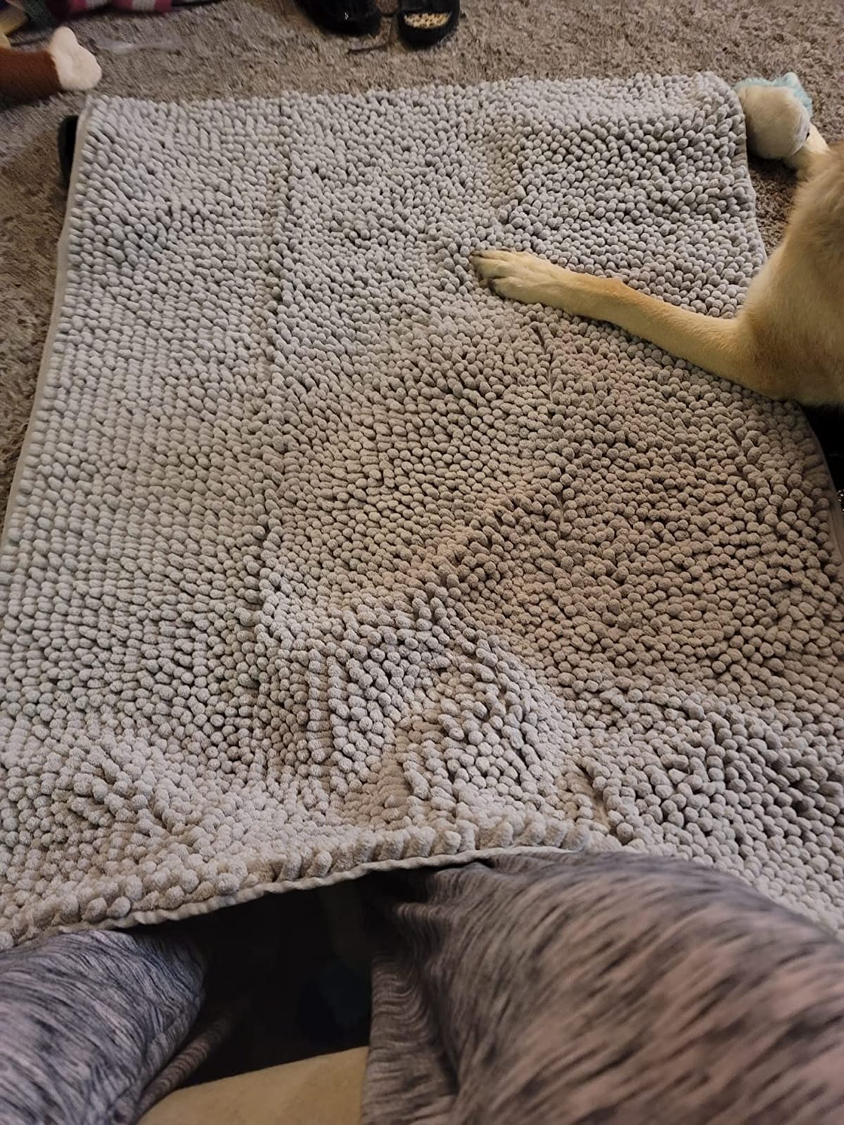 CatGuru Cat Litter Mat, Medium, Extra Large, XXL, Waterproof Litter Box Mat, Non Slip Kitty Litter Mat, Machine Washable Litter Trapping Mat, Soft Litter Tray, Cat Stuff (Medium, Gray/Heavy-Duty) customer photo 1