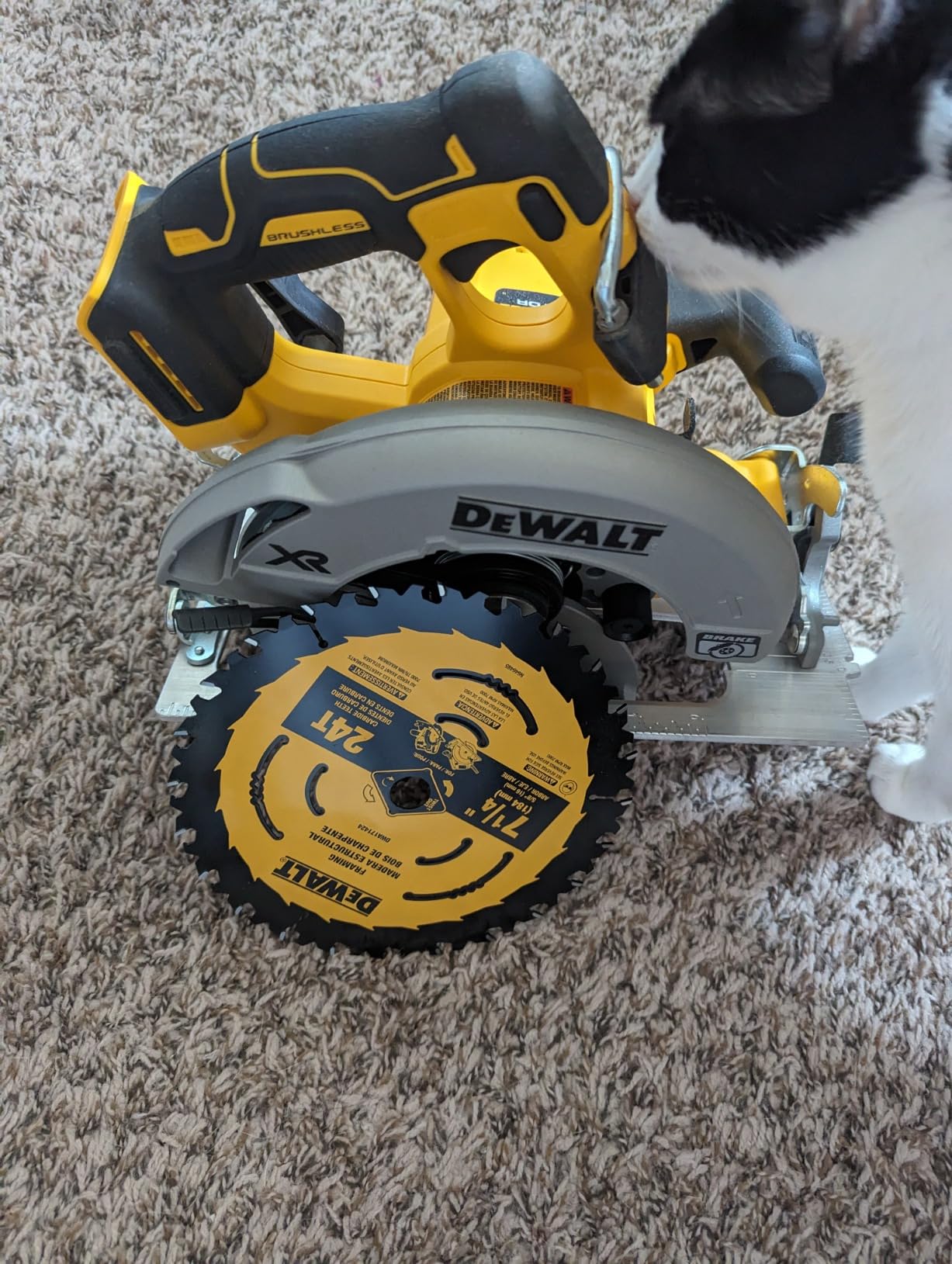 DEWALT 20V MAX Circular Saw Cordless with Brake, 7-1/4 Inch, Tool Only (DCS570B) customer photo 1