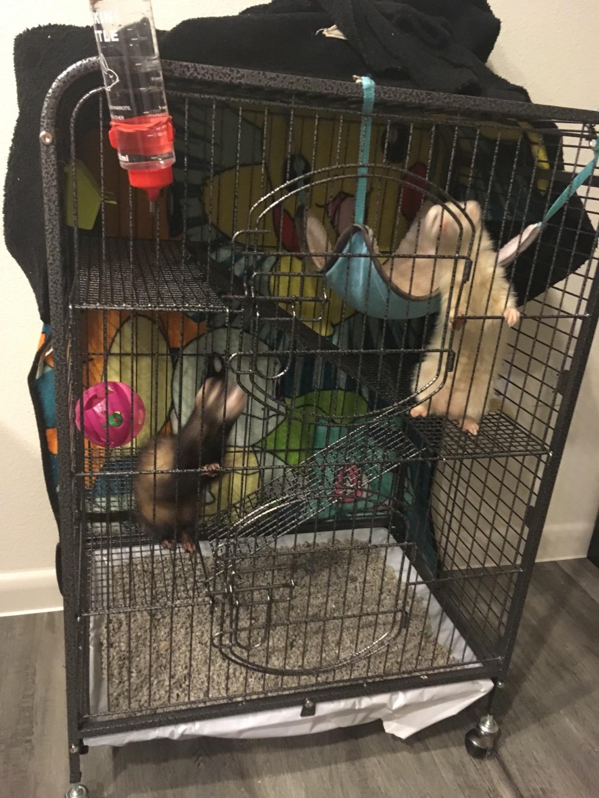Yaheetech 52-inch Ferret Cage 6 Level Metal Rat Cage with 3 Front Doors/Feeder/Wheels Small Animal Cage for Ferret/Chinchilla/Bunny/Rabbit/Squirrel, Black customer photo 2