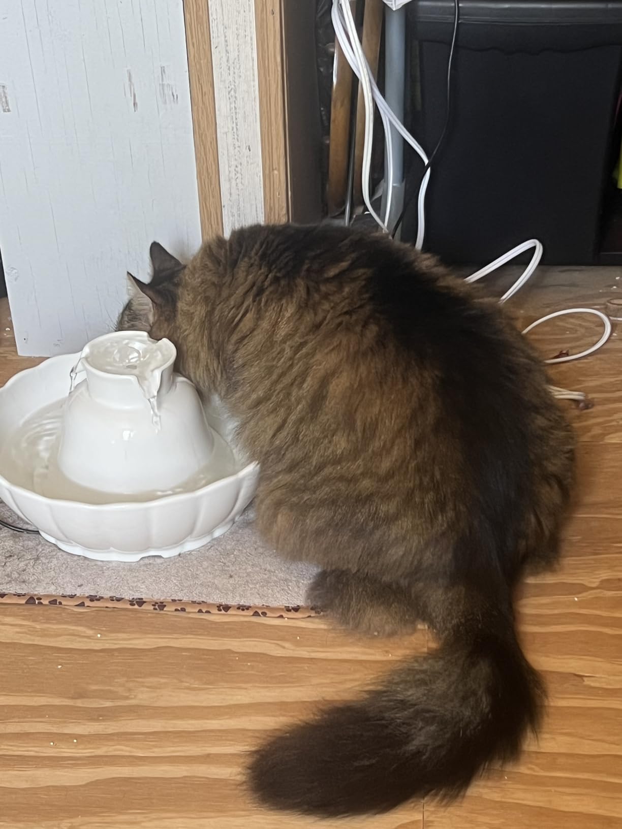 iPettie Tritone Ceramic Cat Water Fountain, Heavy-Duty Waterer for Pets customer photo 2