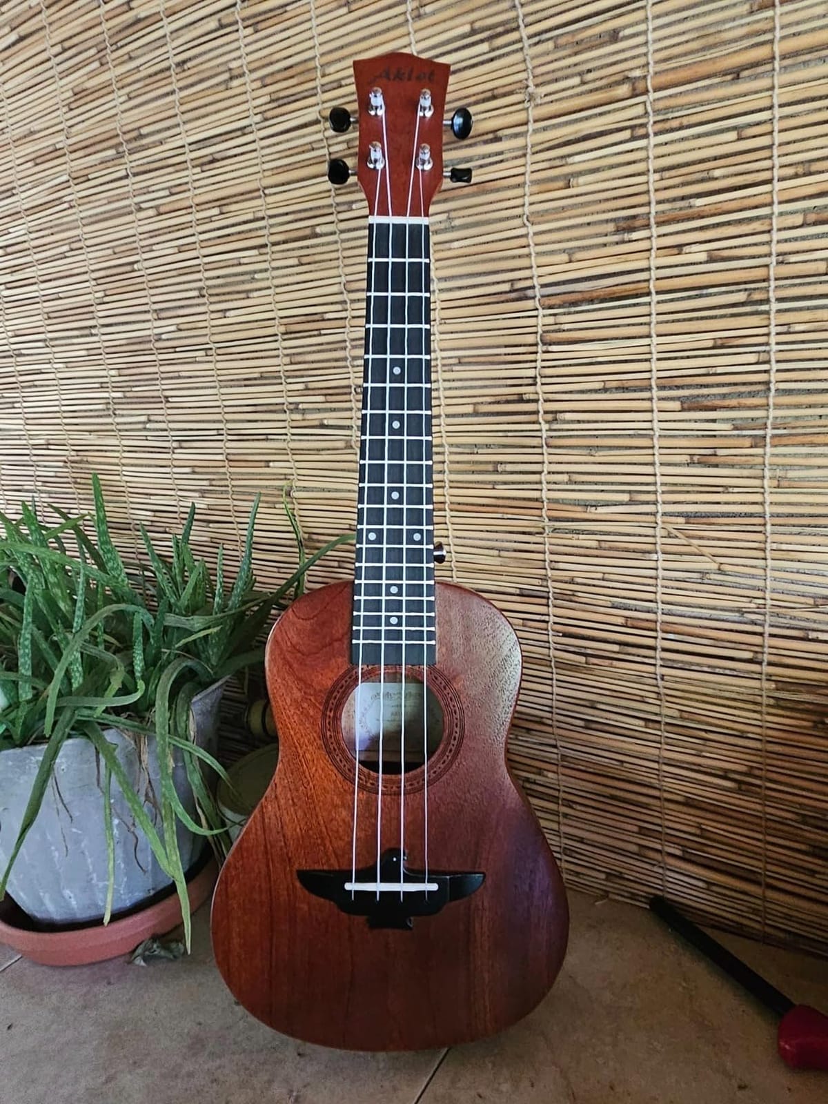 Ukulele, AKLOT Concert Ukelele Solid Mahogany 23 inch for Professional Beginners Adults Kit with Free Online Lesson and Uke Accessories customer photo 1