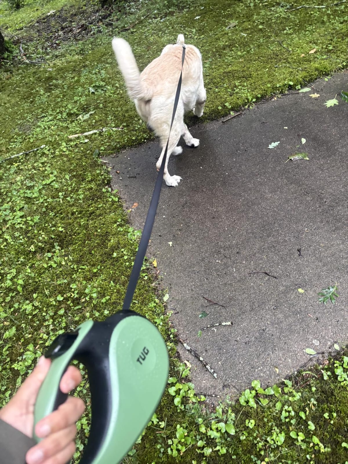 TUG Original Retractable Dog Leash, 16 ft (Medium, White) customer photo 2