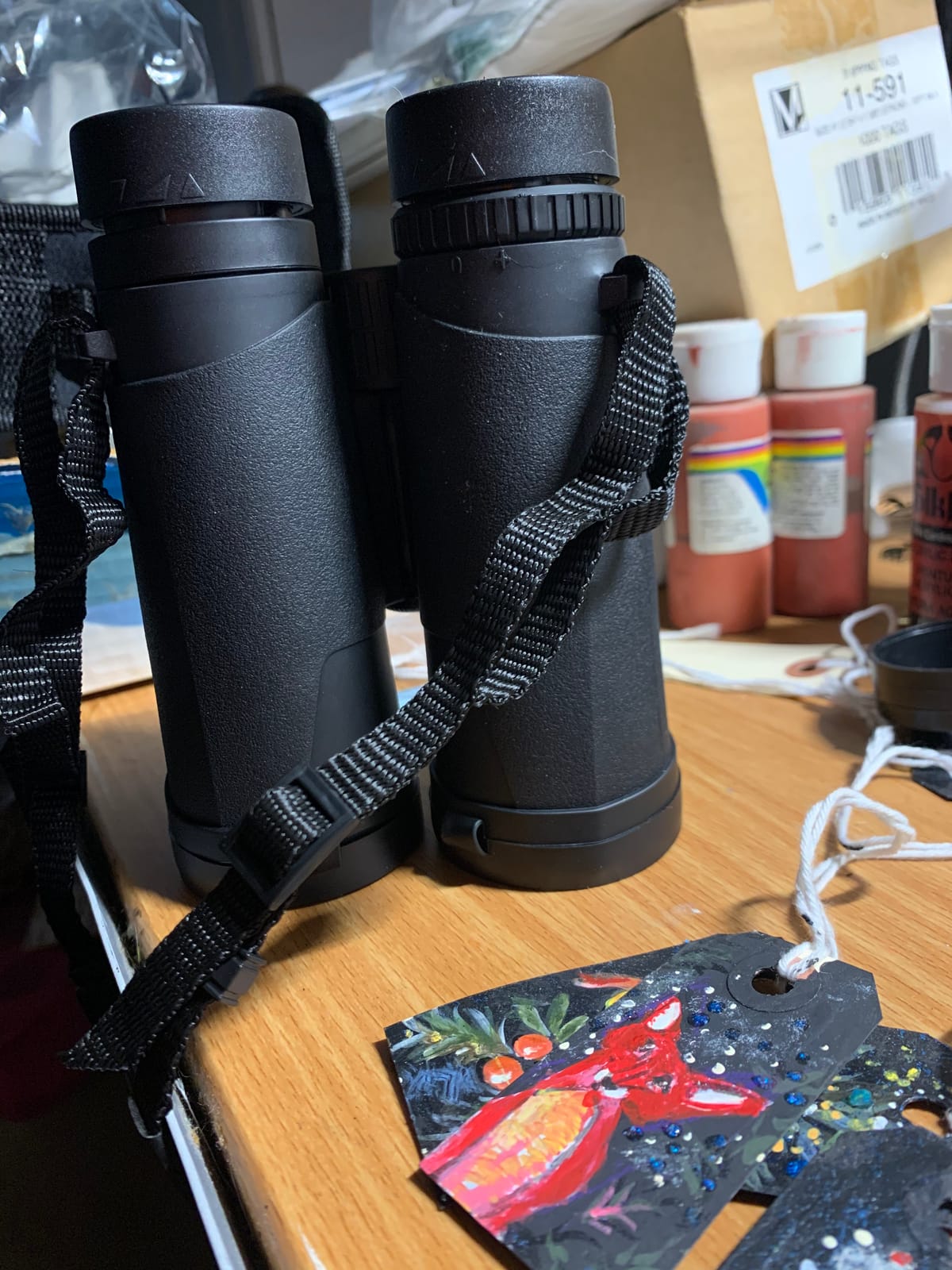 10X42 Professional Binoculars with Smartphone Adapter, Compact Waterproof Low Night Vision Binoculars for Adult Birds Watching Hunting Concert Travel customer photo 1