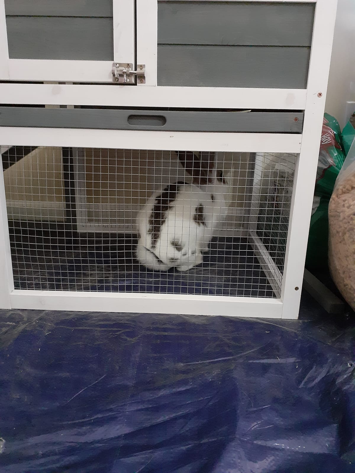 PawHut 49