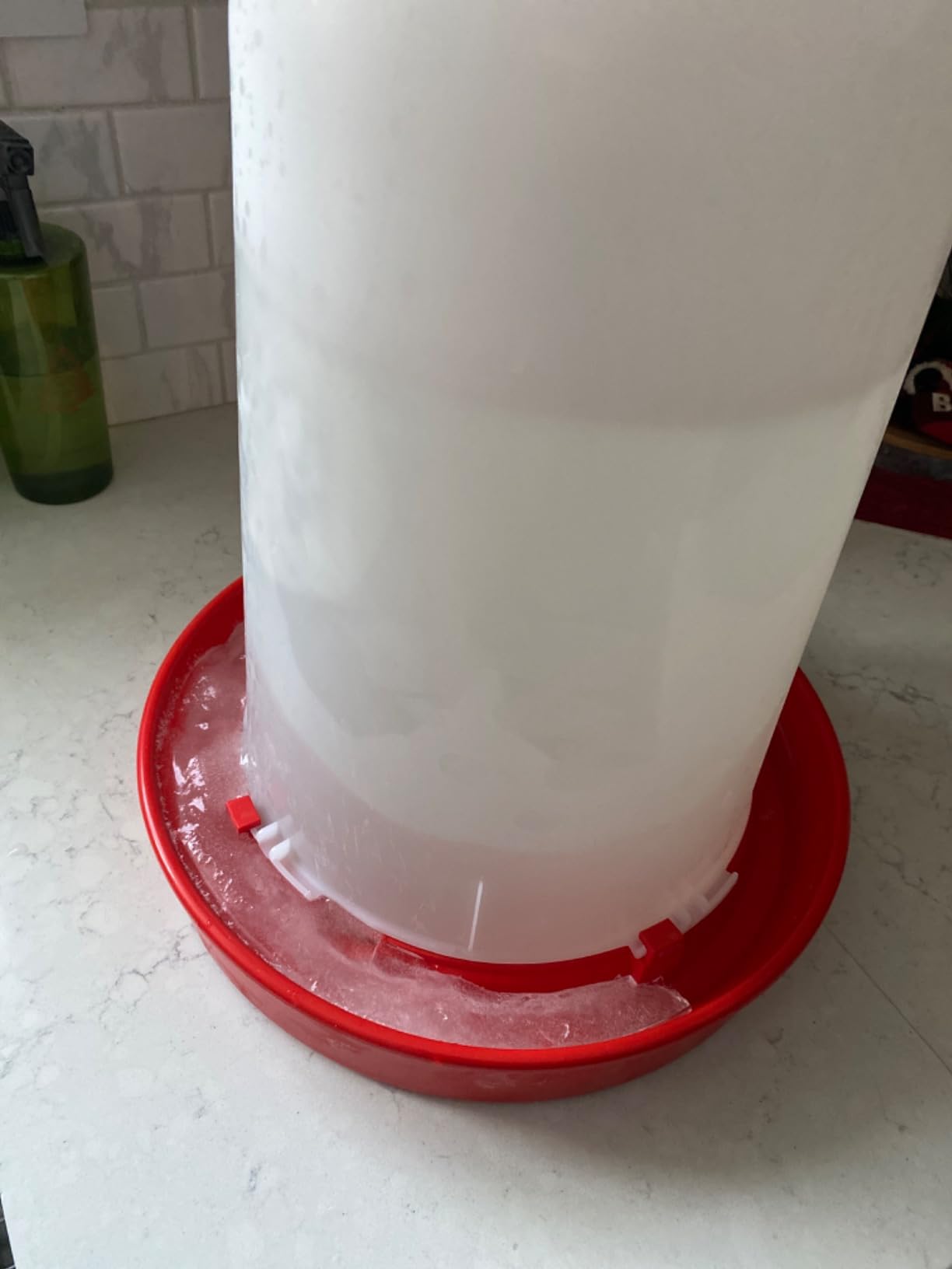 API 3 Gallon Heated Chicken or Bird Waterer with Overheating Protection, Galvanized Steel Handle, and Easy to Fill Funnel Design, White customer photo 2