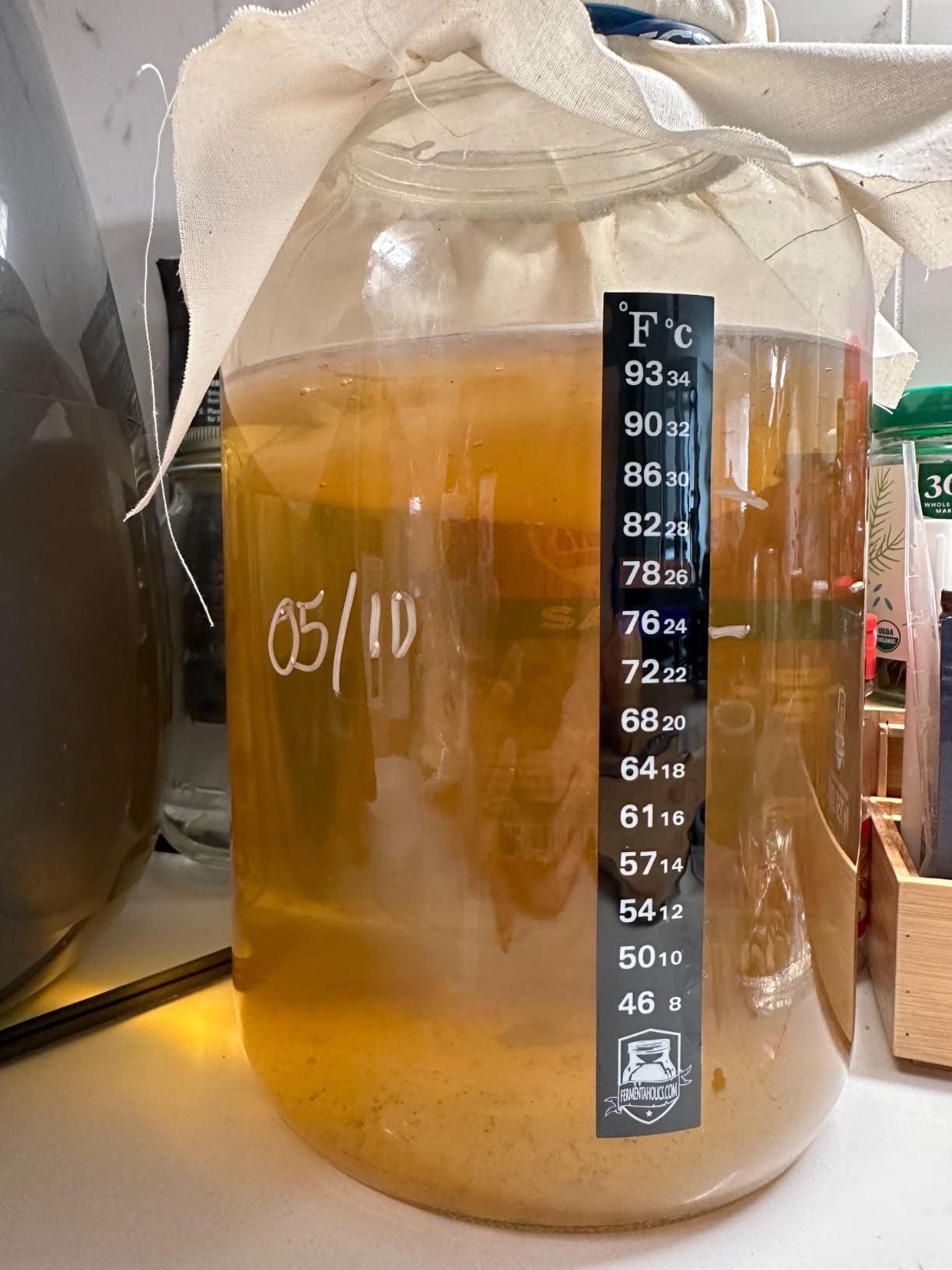 Kombucha Essentials Kit - Includes USDA Organic Kombucha SCOBY + 1-Gallon Glass Fermenting Jar with Breathable Cover + pH Strips + Rubber Band + Adhesive Thermometer - Brew kombucha at Home customer photo 2