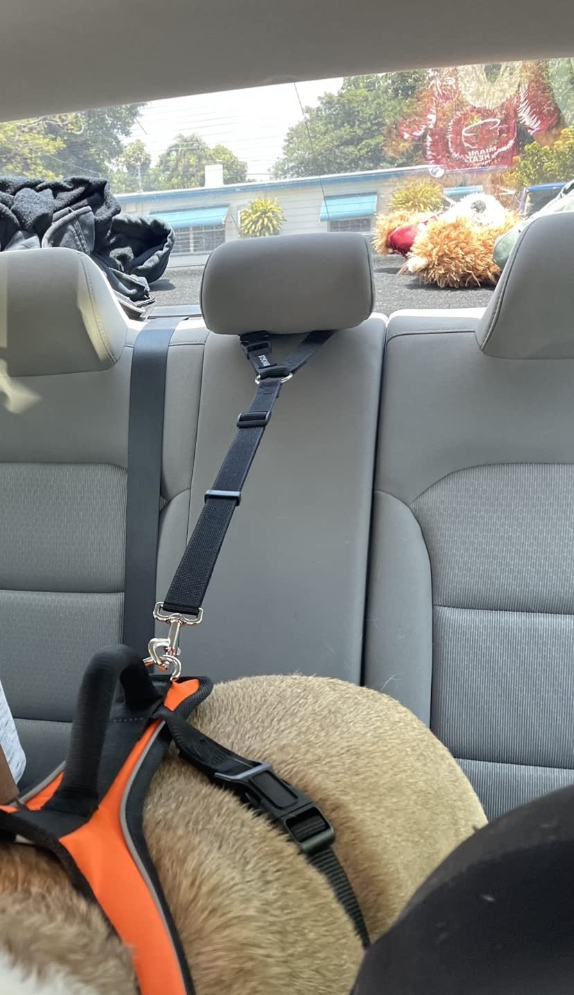 BWOGUE Dog Seat Belt for Car, Headrest Restraint Safety Lead, Dogs Cats customer photo 2