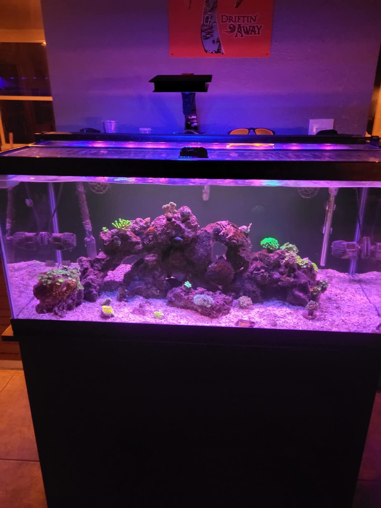 Fluval SEA Marine Nano LED Aquarium Lighting with Bluetooth, 20 Watts,Glass customer photo 1